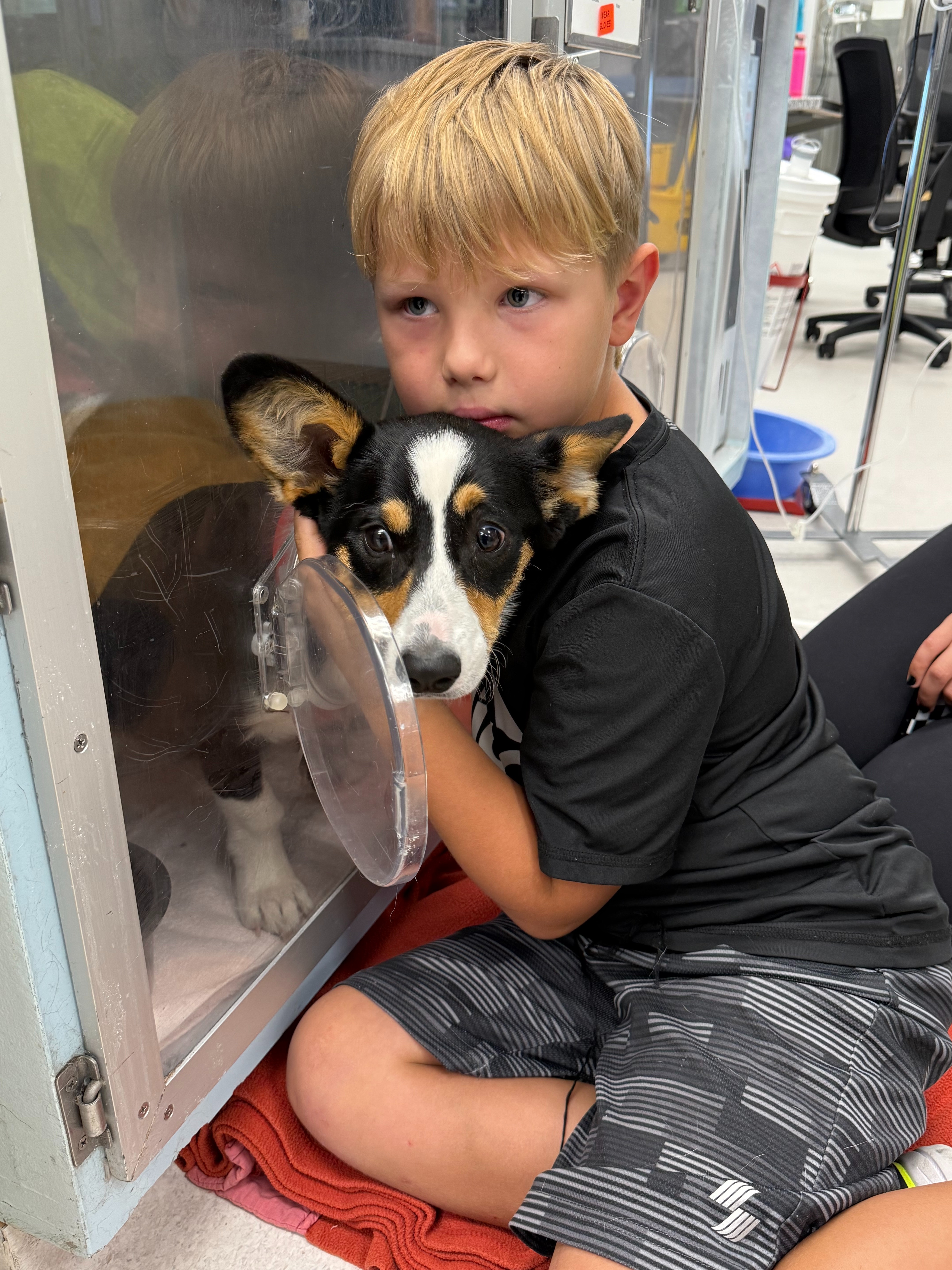 Support Pancake’s Surgery and Recovery campaign photo, 6 of 8