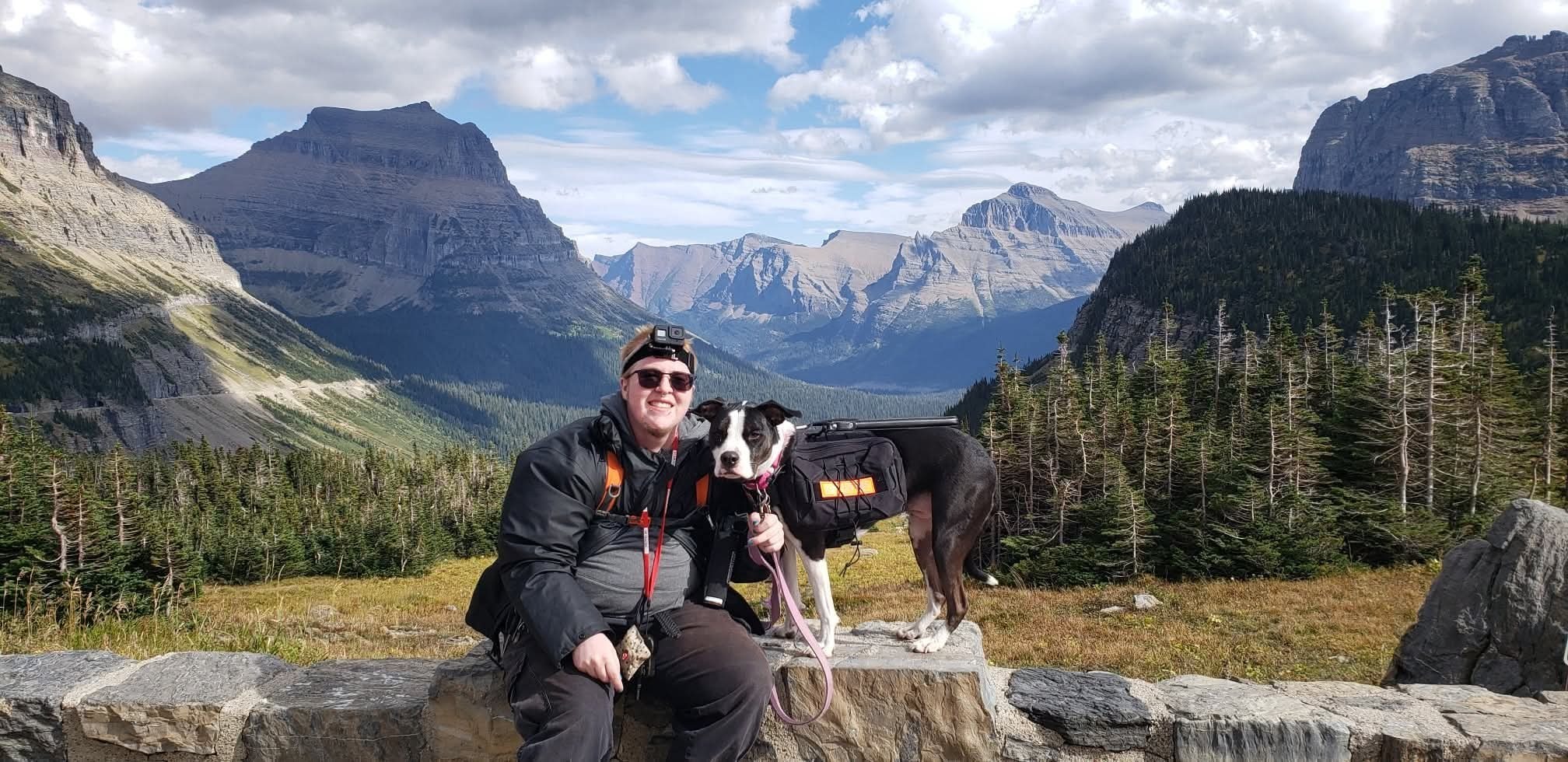 Help Saki, My Service Dog, Get Urgent Surgery campaign photo, 6 of 8