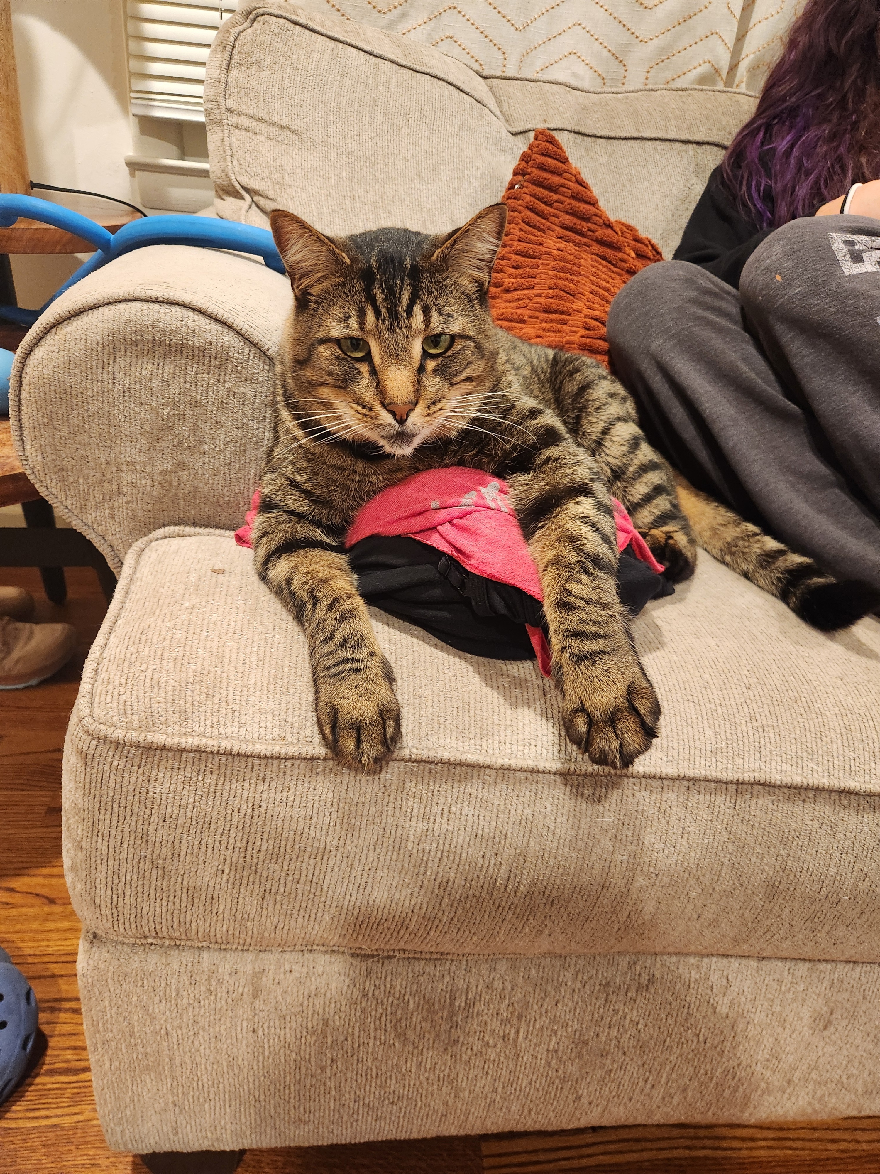 Let's help Kaia and her cat Fudge get back on their feet campaign photo, 4 of 8