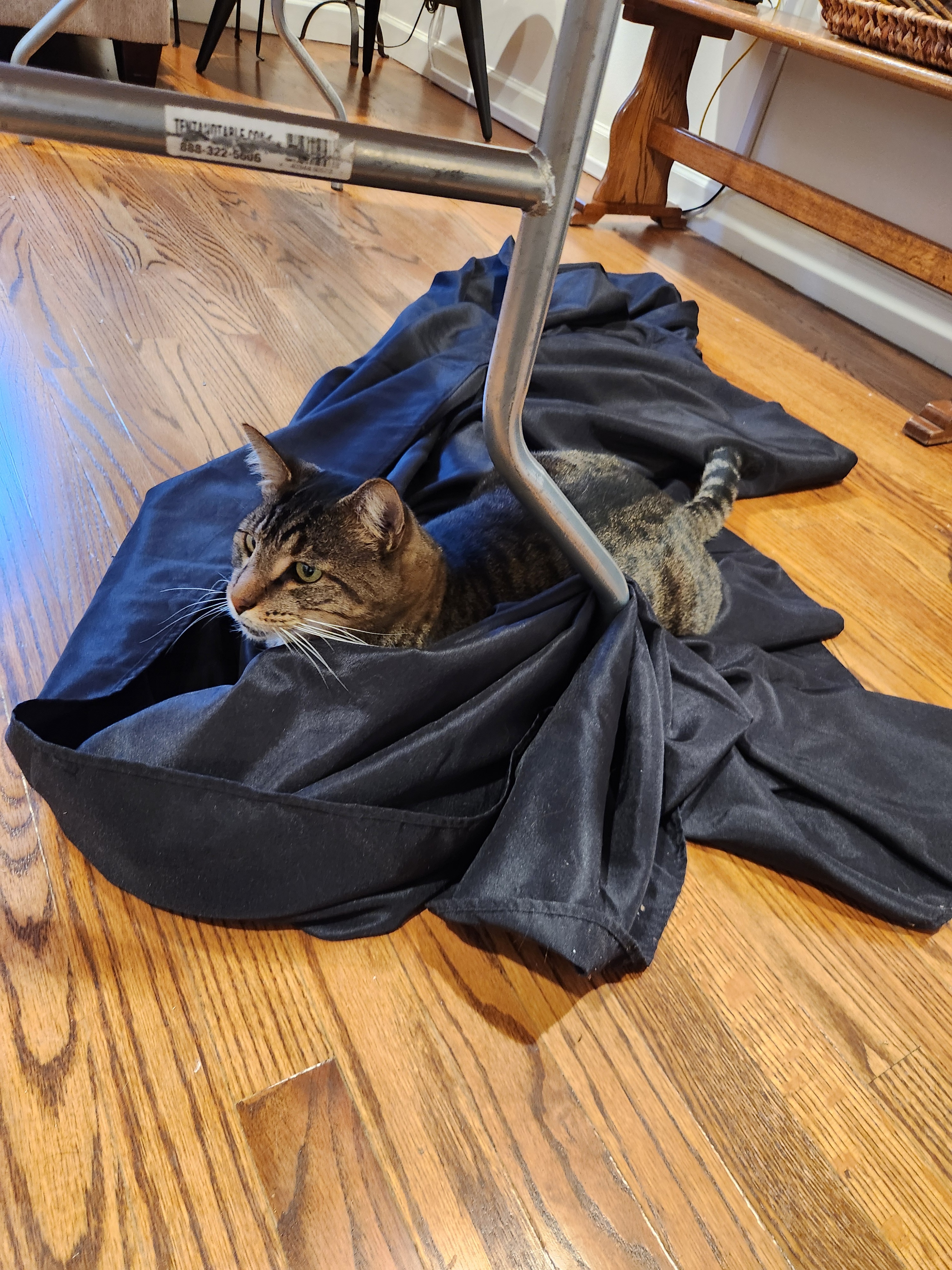 Let's help Kaia and her cat Fudge get back on their feet campaign photo, 5 of 8