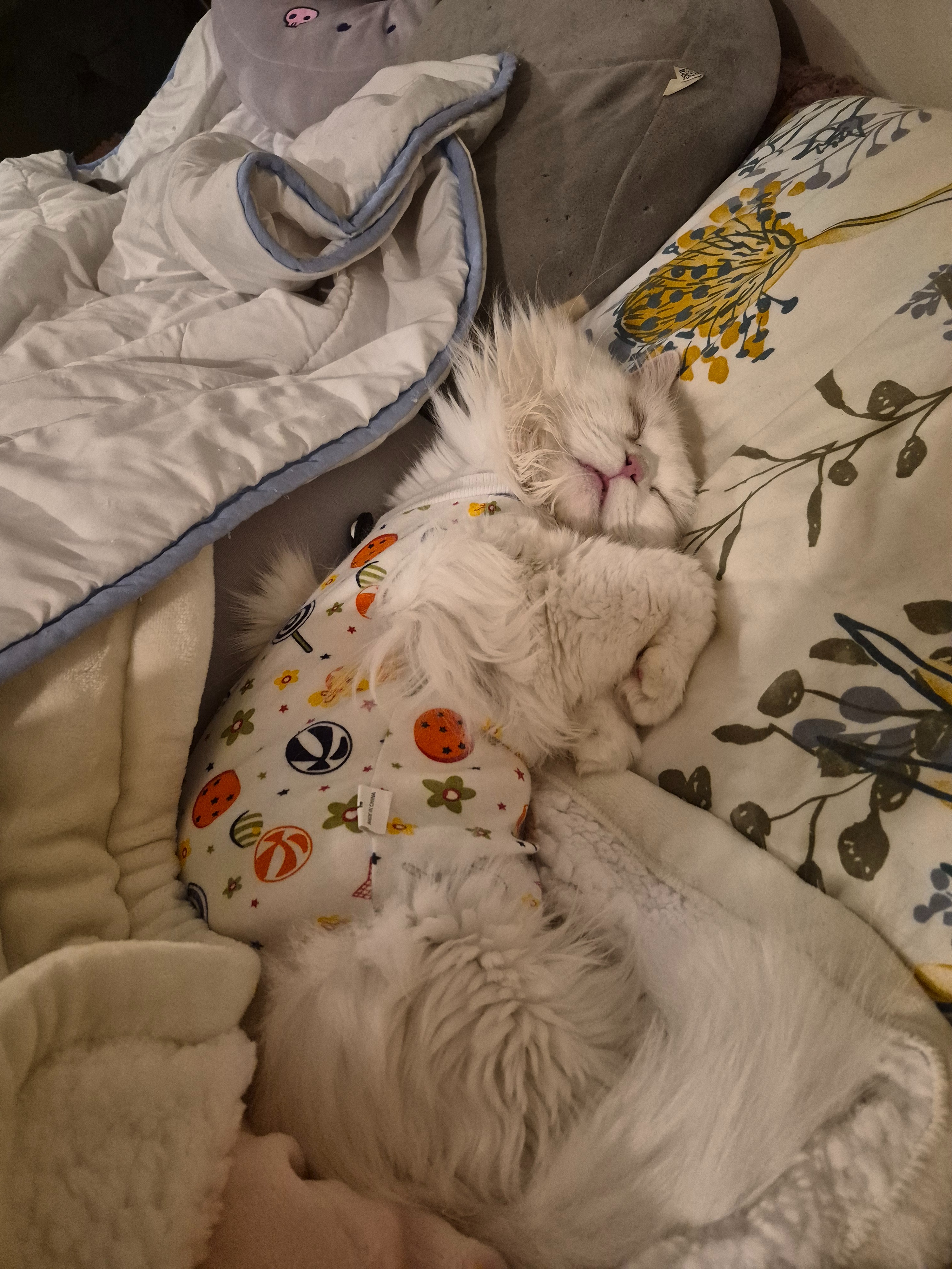Help Save Cloud - Life-Saving Care for My 4 YO Boy campaign photo, 5 of 8