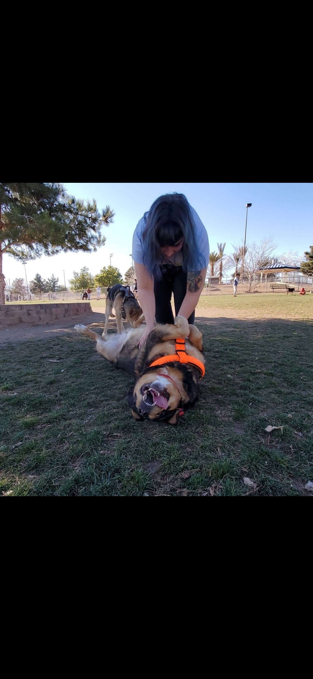 Easing the Burden for Boozer’s Grieving Family campaign photo, 5 of 8