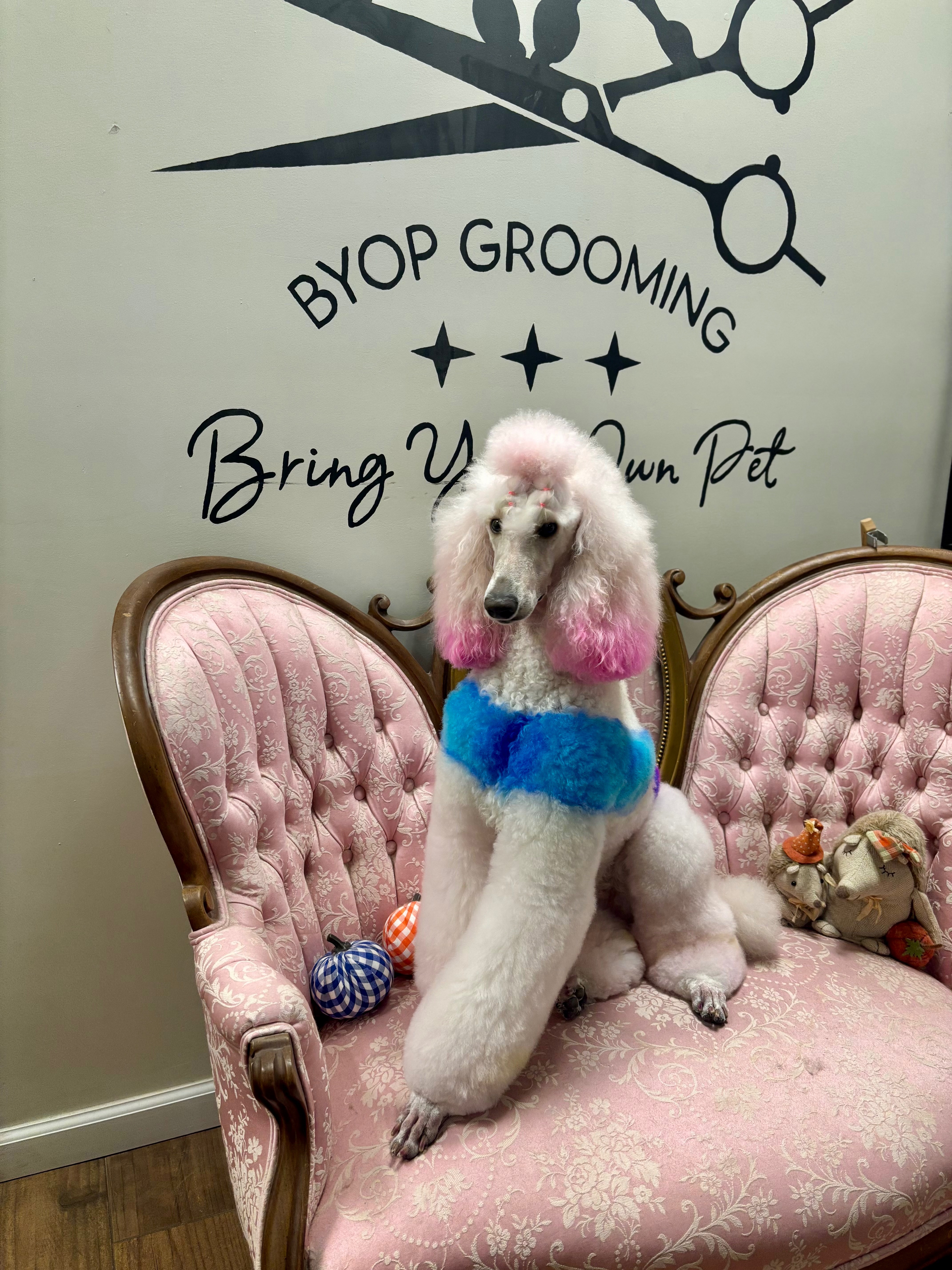 Help Naomi Beat Heartworm Disease campaign photo, 6 of 8