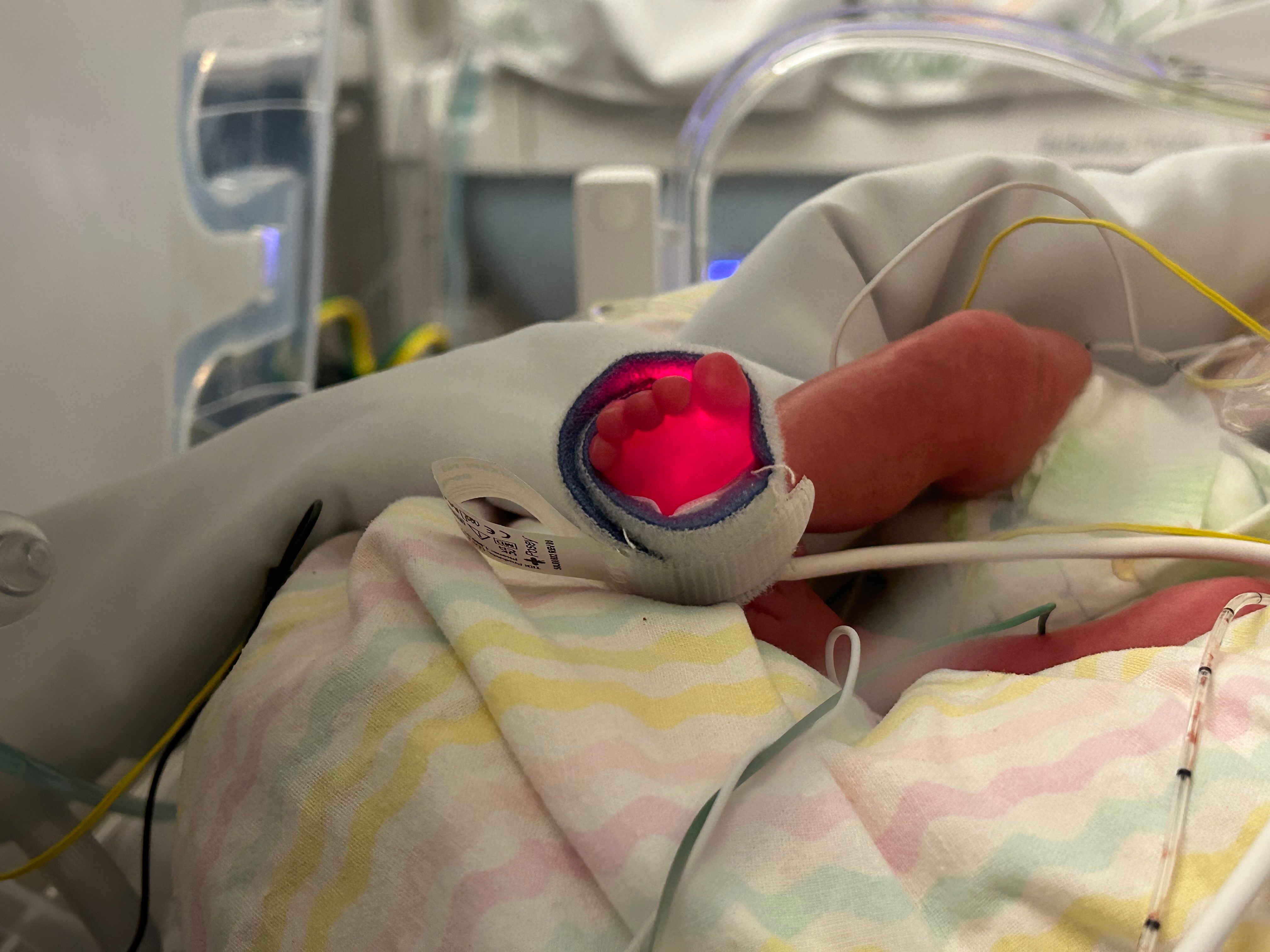 Support for the Tool Family's NICU Twins and Home Needs campaign photo, 7 of 8