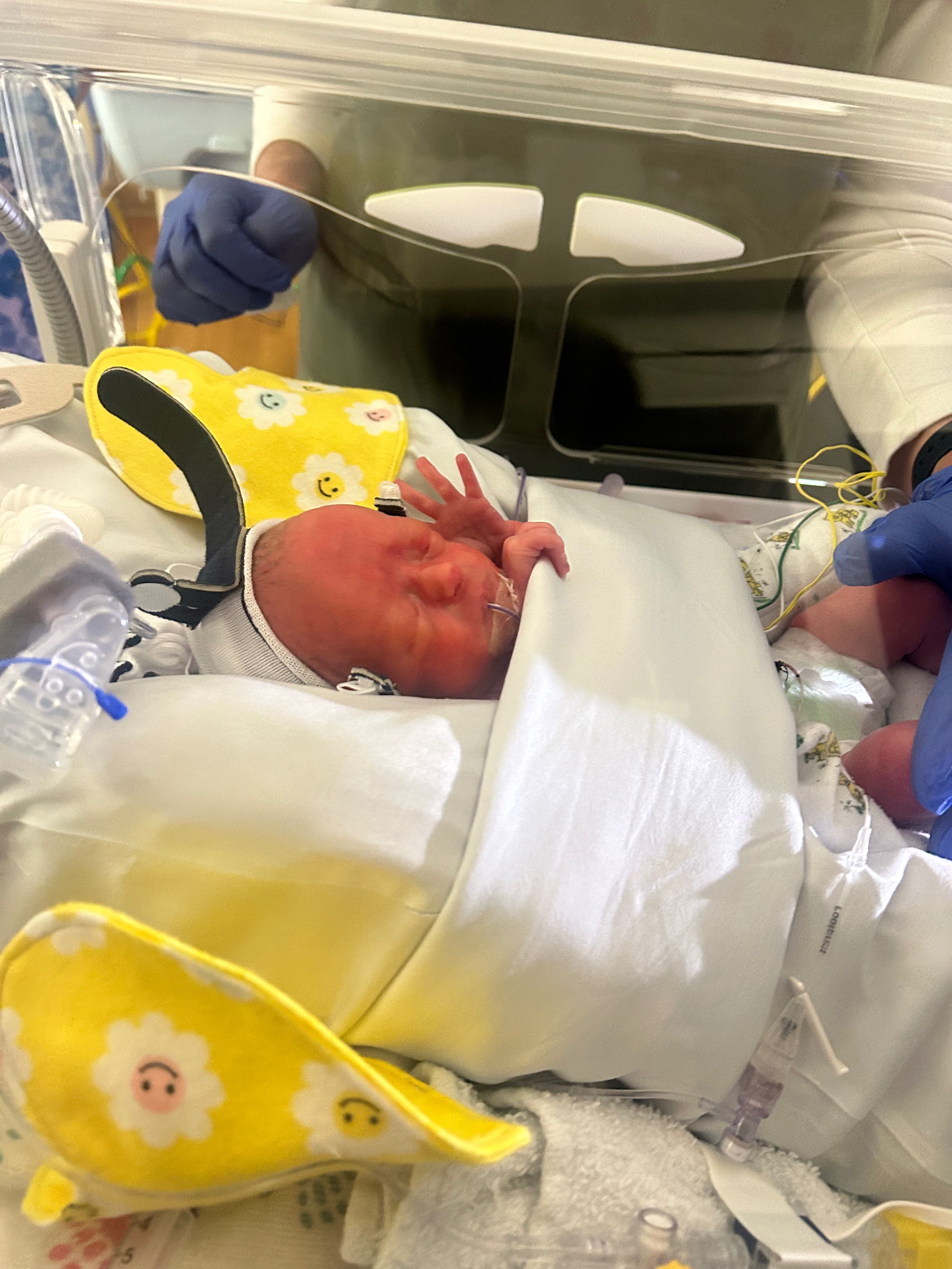 Support for the Tool Family's NICU Twins and Home Needs campaign photo, 2 of 8