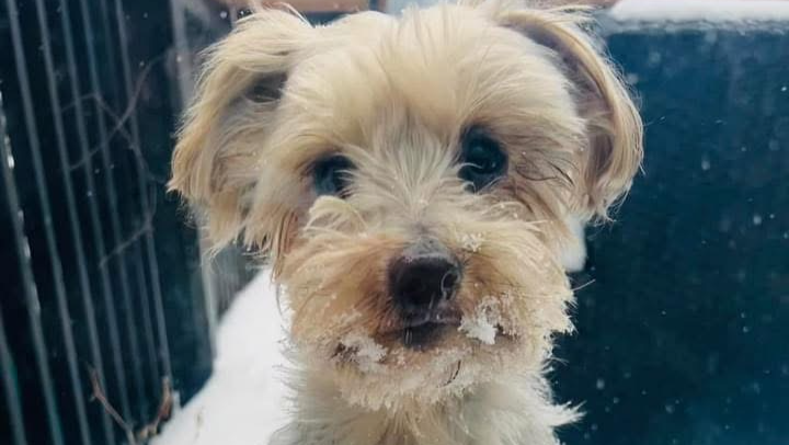 Jewelz Road to Recovery. photo