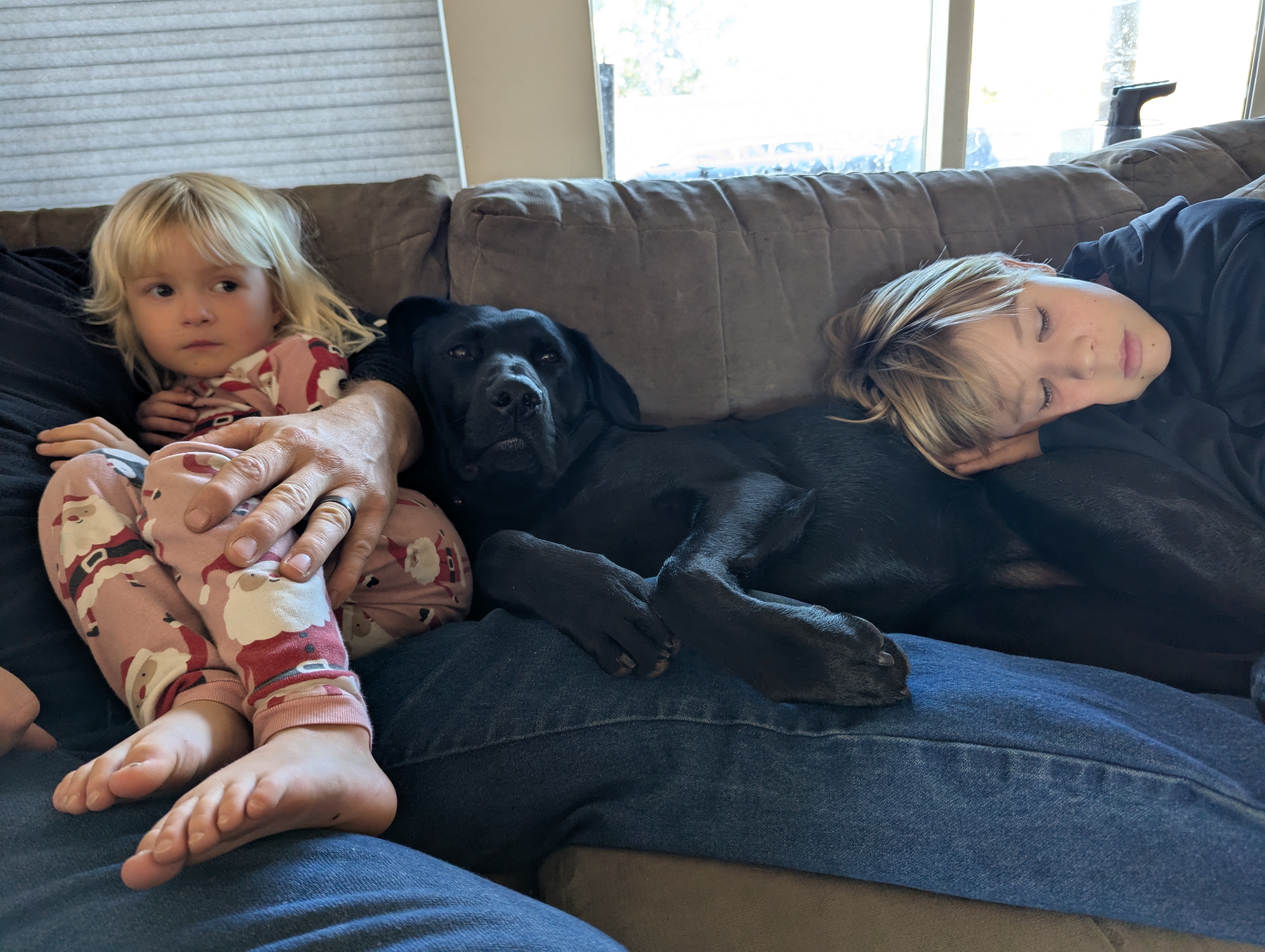 Help Save Pepper: Surgery Needed campaign photo, 6 of 7