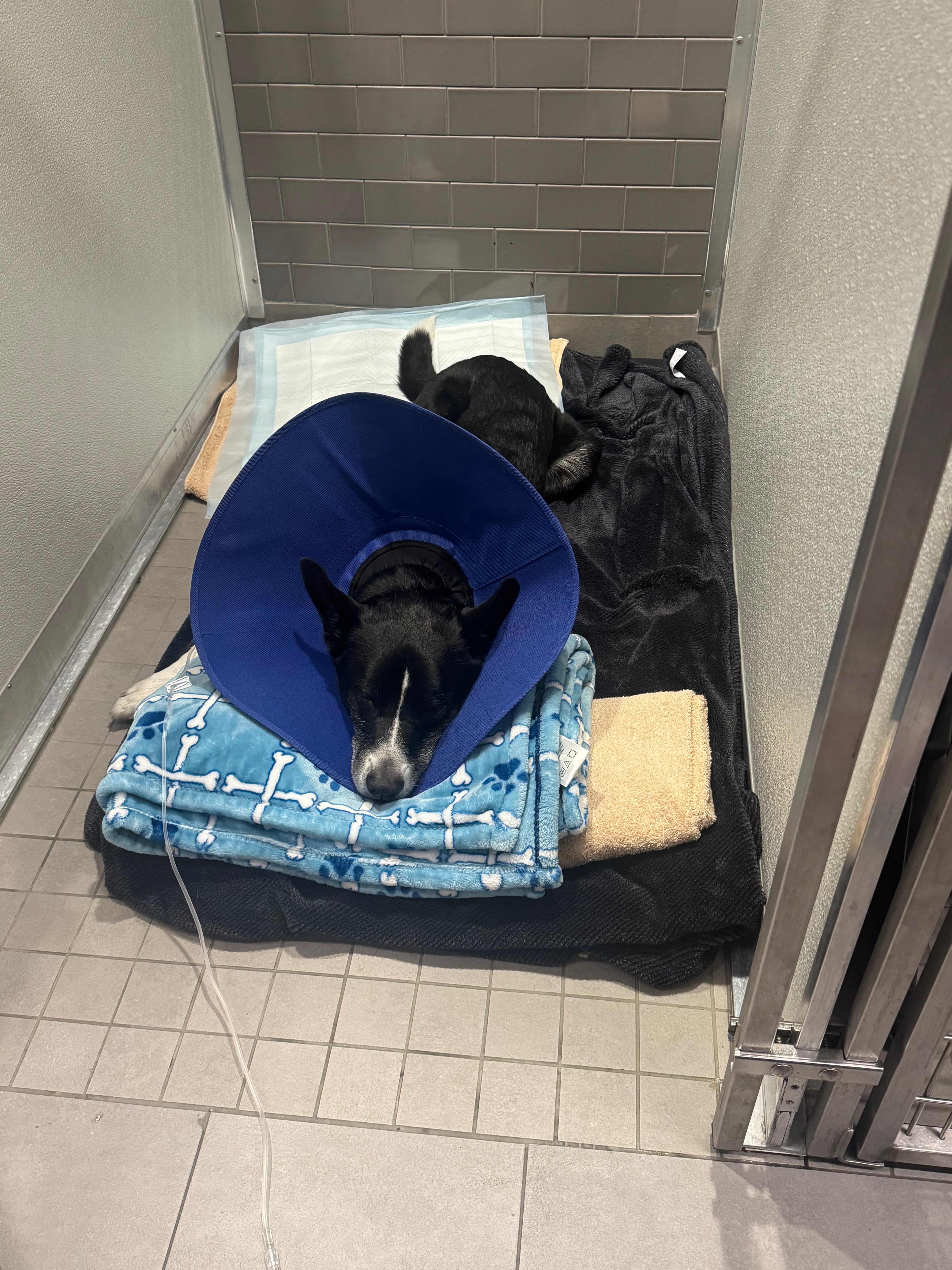 Help Axel Recover from His Traumatic Accident campaign photo, 2 of 7