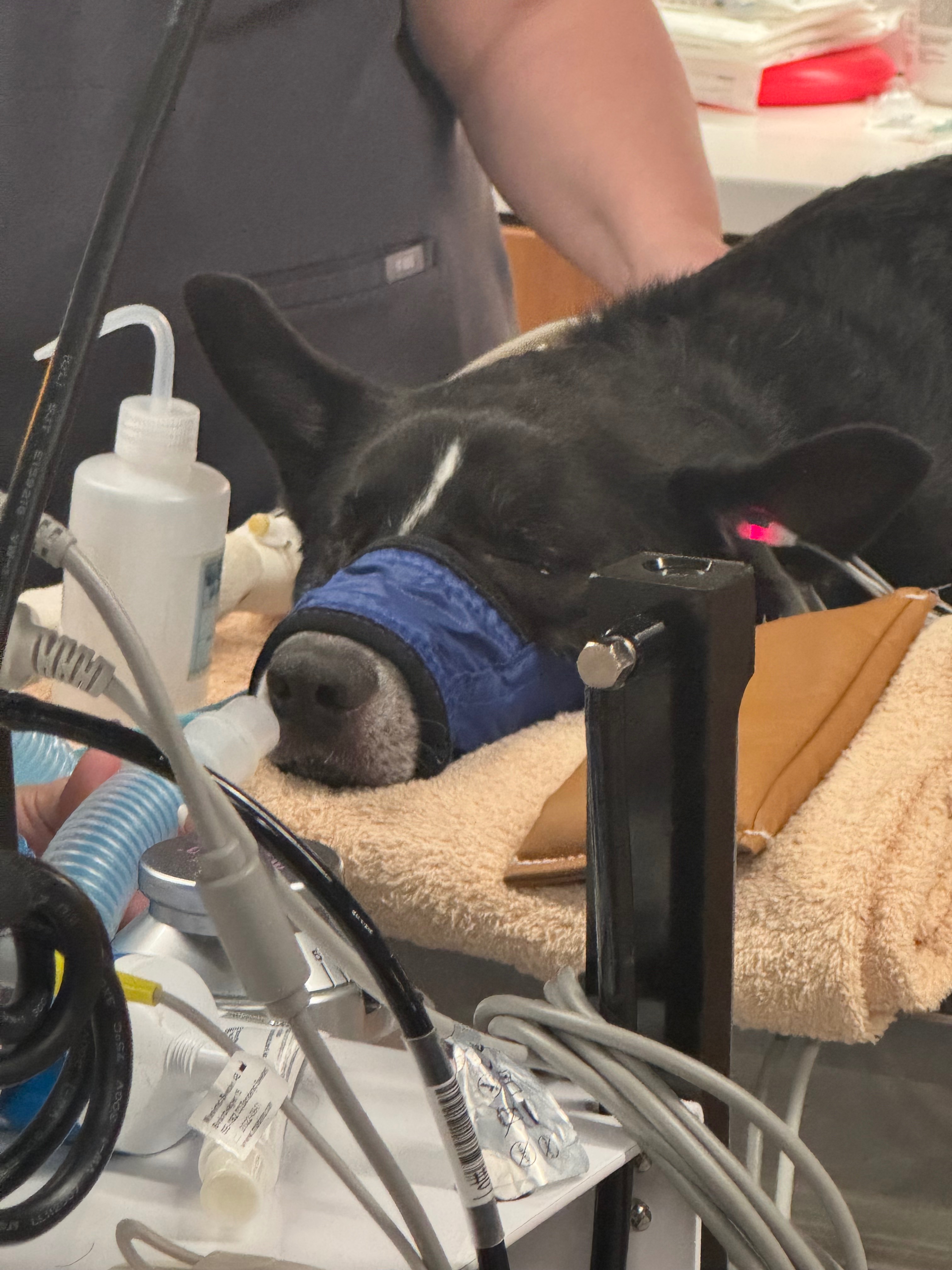 Help Axel Recover from His Traumatic Accident campaign photo, 4 of 7