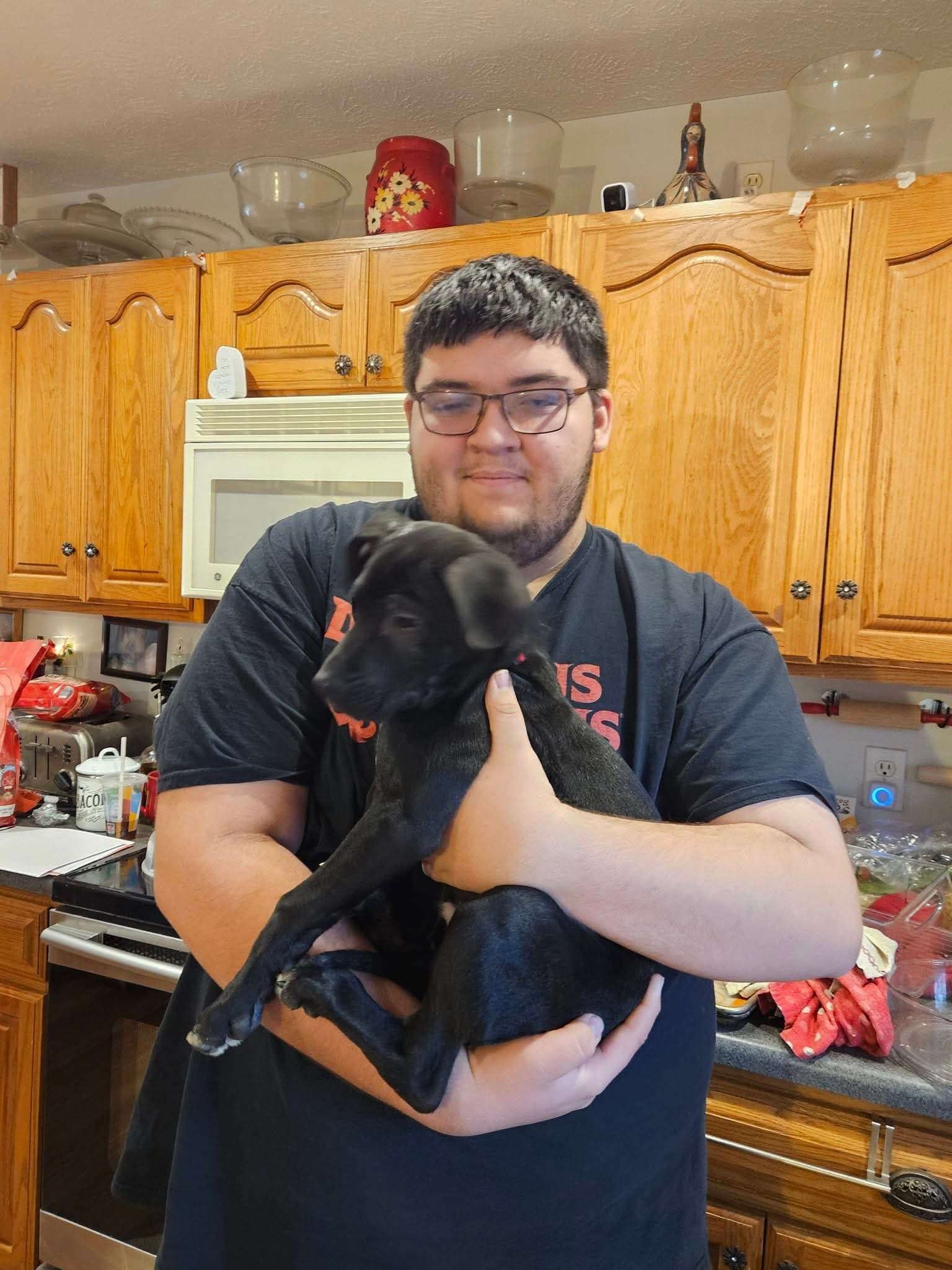 Help Loki Get Life-Saving Surgery campaign photo, 6 of 8
