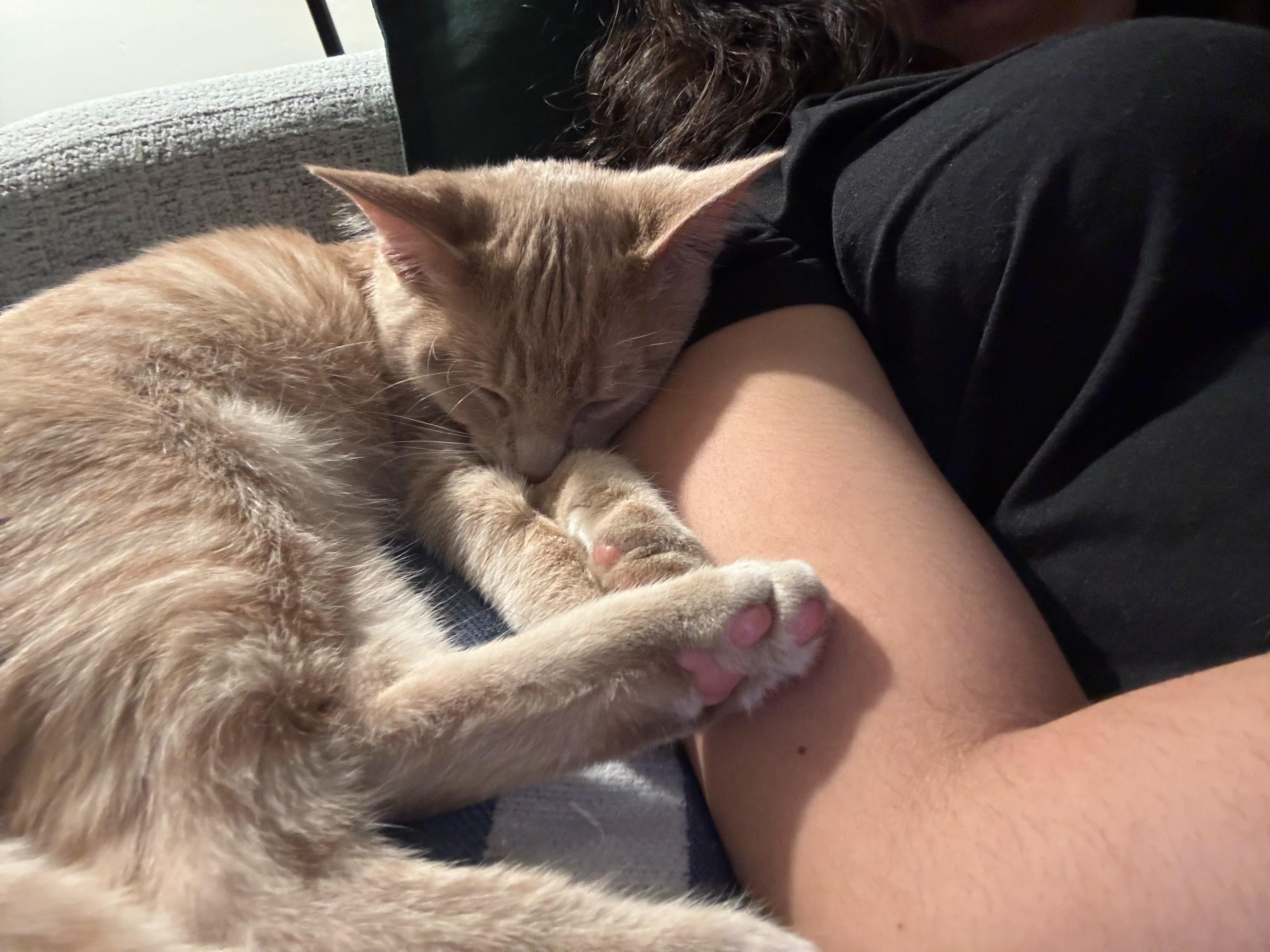 Help Biscoff Walk Again After Injury campaign photo, 4 of 8