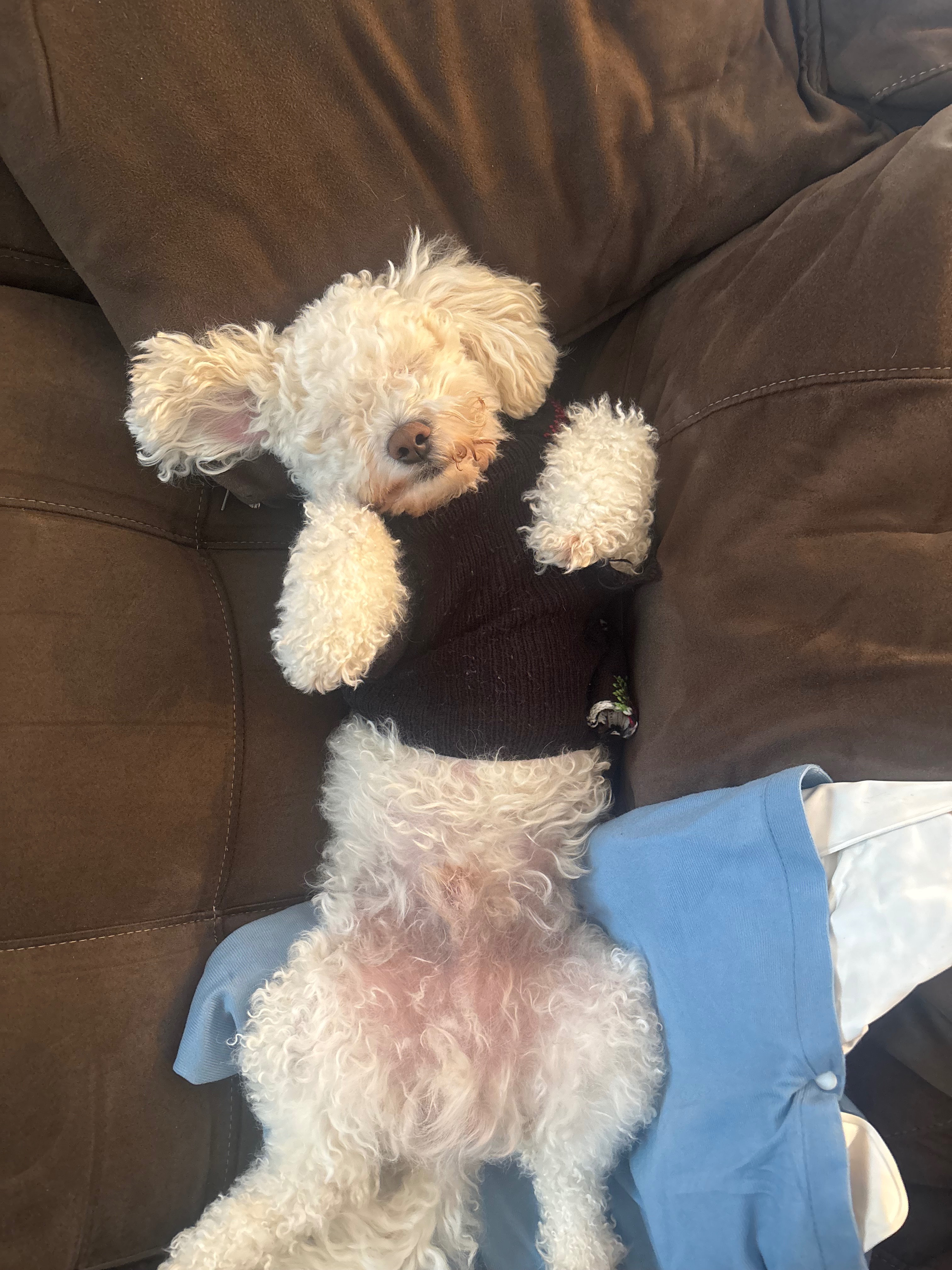 Louie’s Total Hip Replacement Surgery campaign photo, 4 of 8