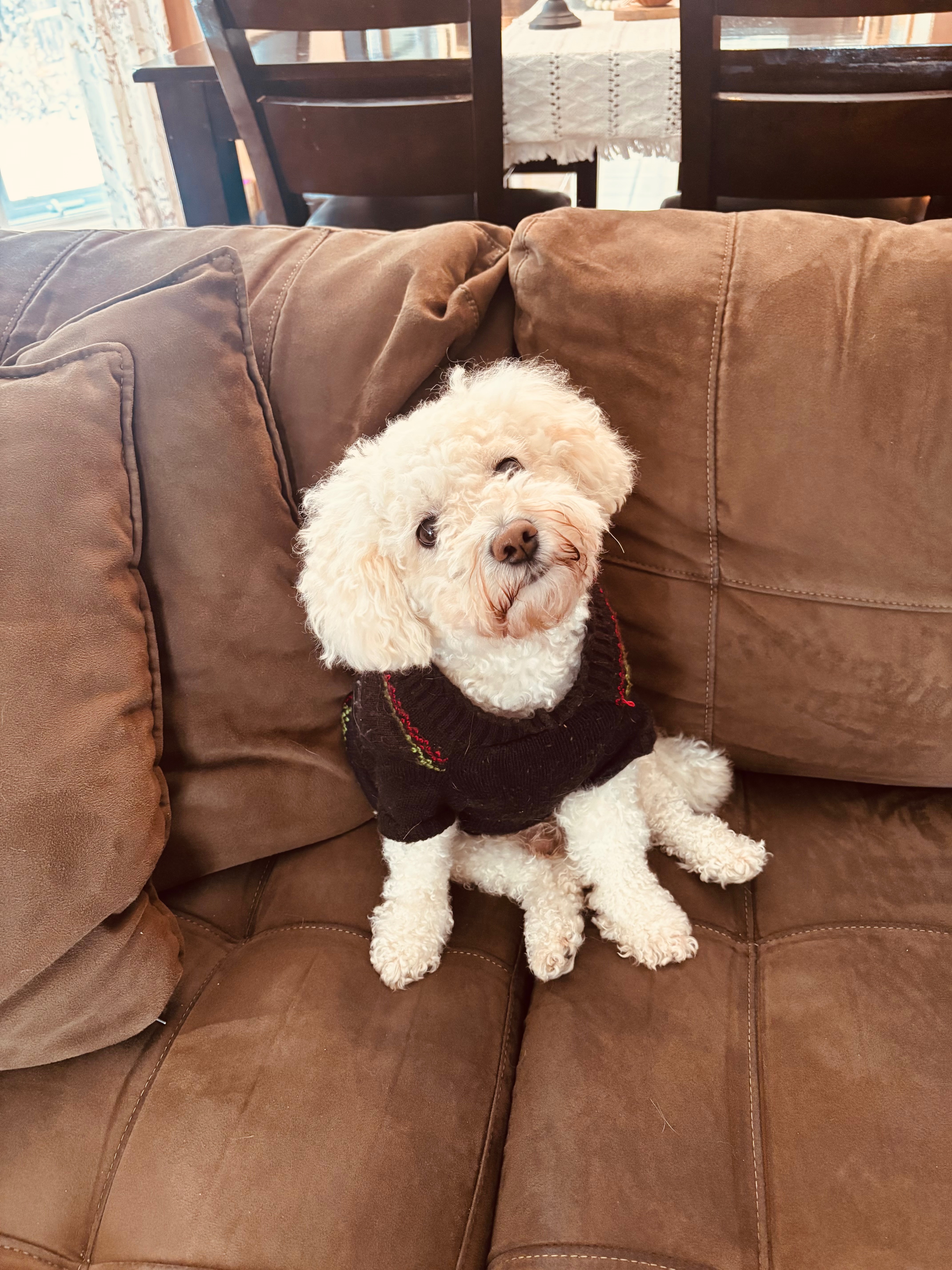 Louie’s Total Hip Replacement Surgery campaign photo, 6 of 8