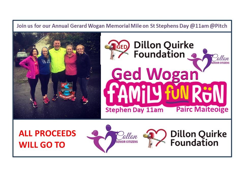 Ged Wogan Family Fun Run (One Mile Run) campaign photo, 2 of 3