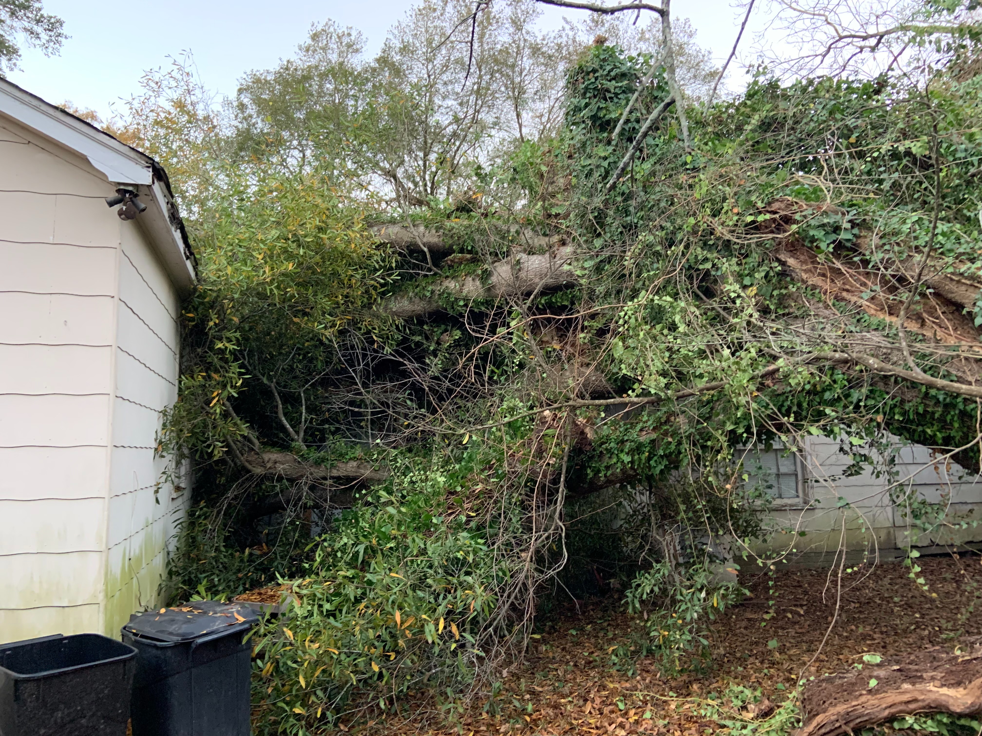 Help Our Mother & Grandmother Rebuild After Disaster campaign photo, 4 of 8