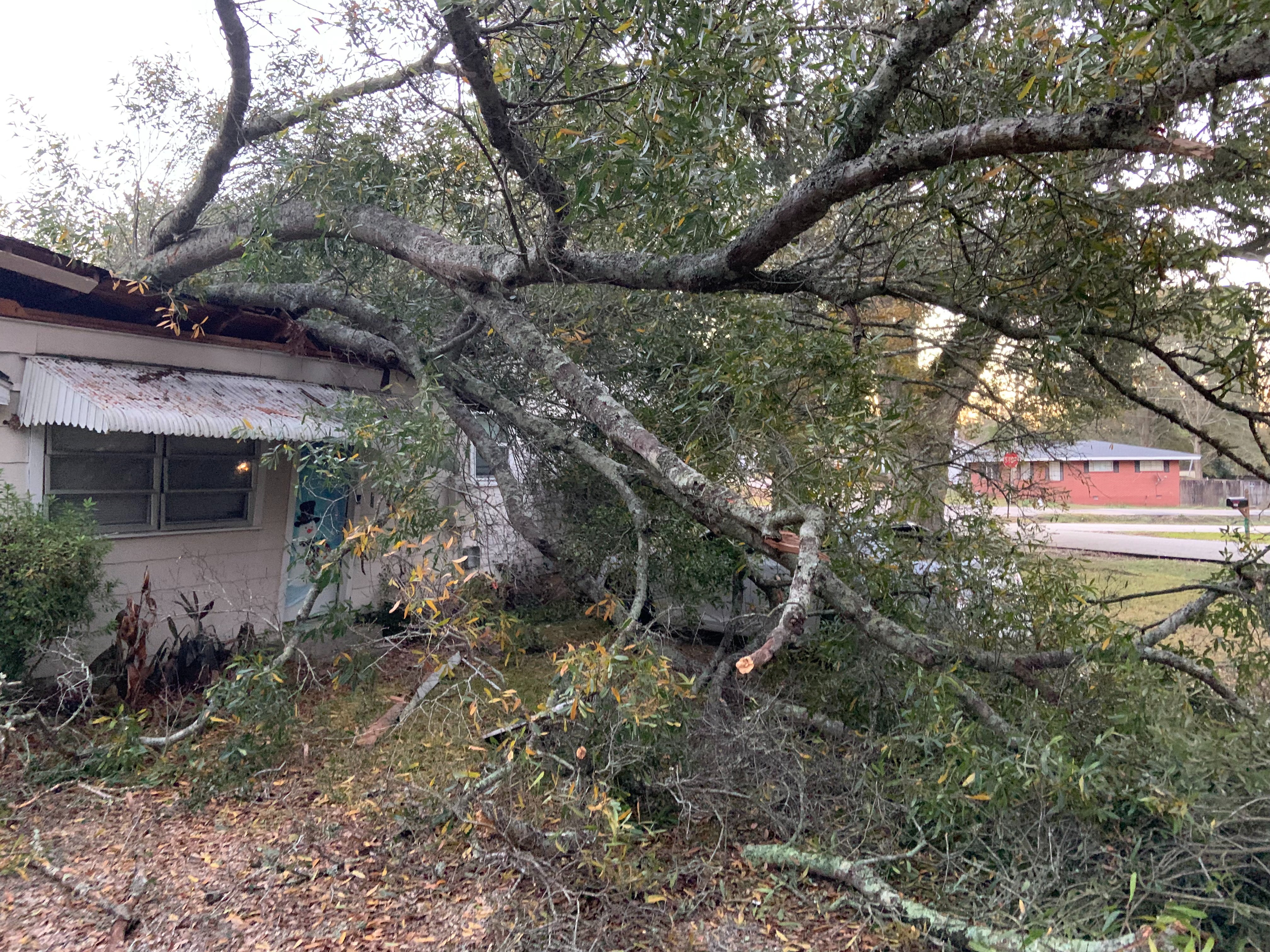 Help Our Mother & Grandmother Rebuild After Disaster campaign photo, 6 of 8