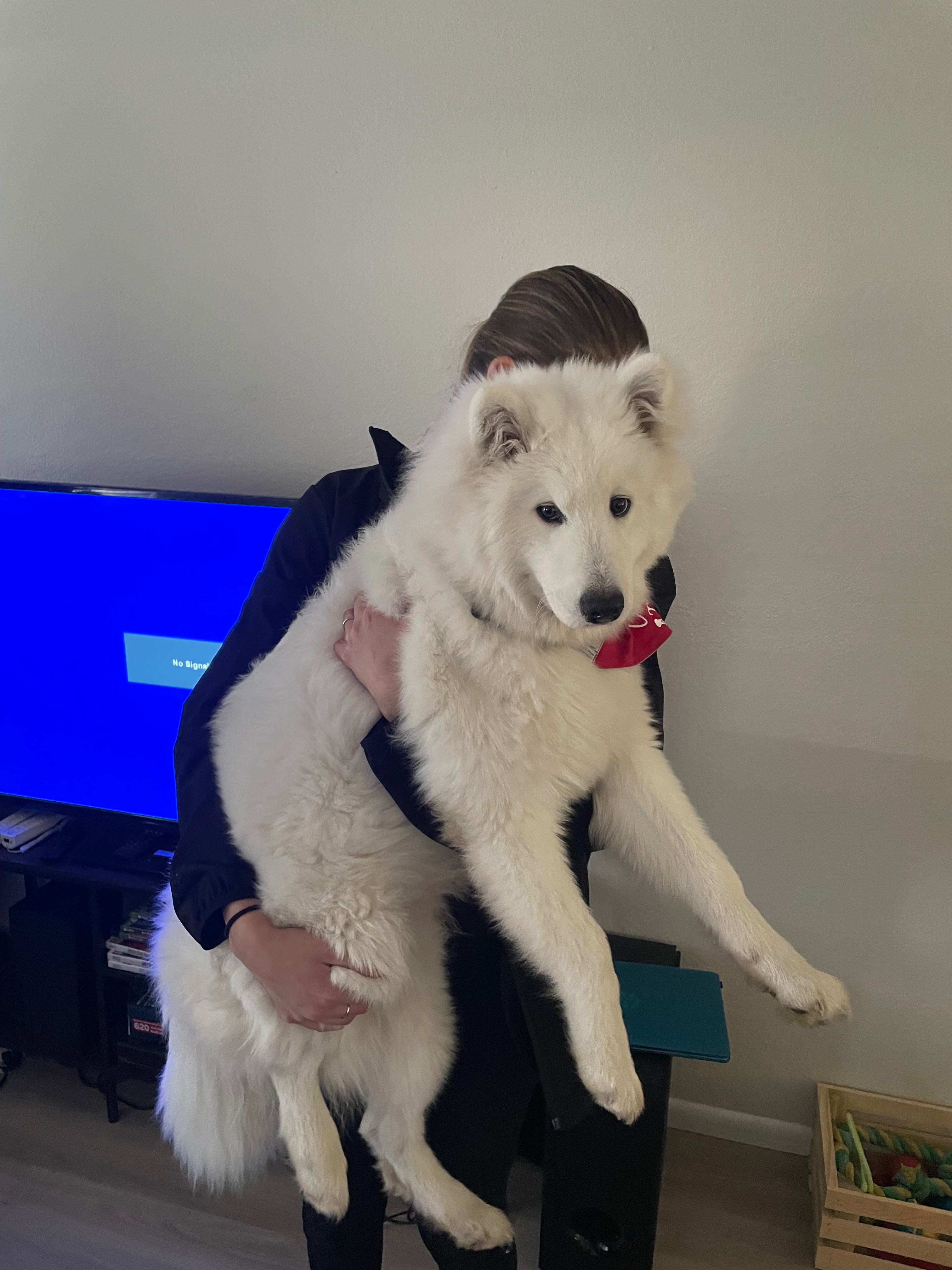 Help Appa Get Critical Heart Surgery campaign photo, 7 of 8
