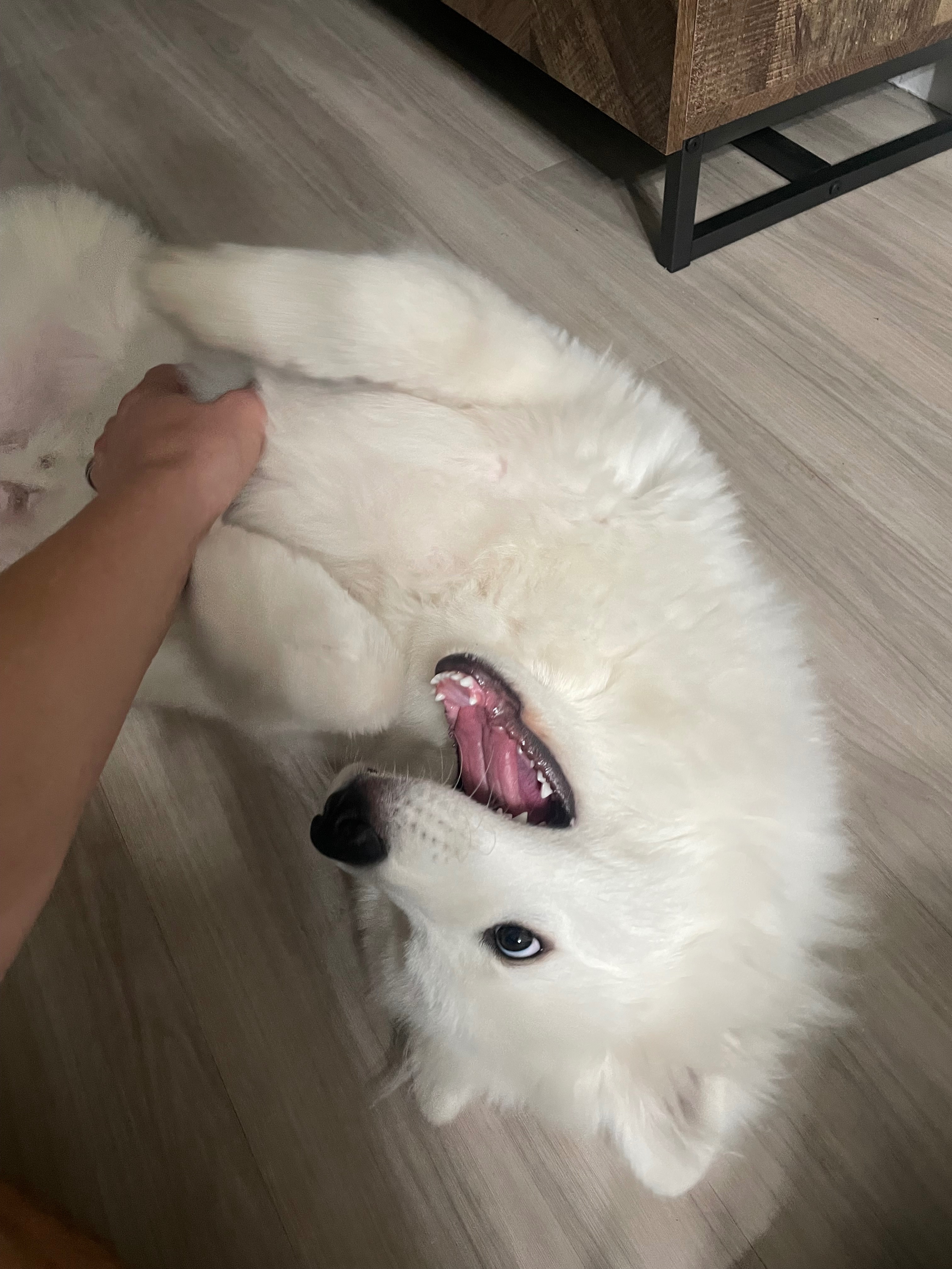 Help Appa Get Critical Heart Surgery campaign photo, 4 of 8
