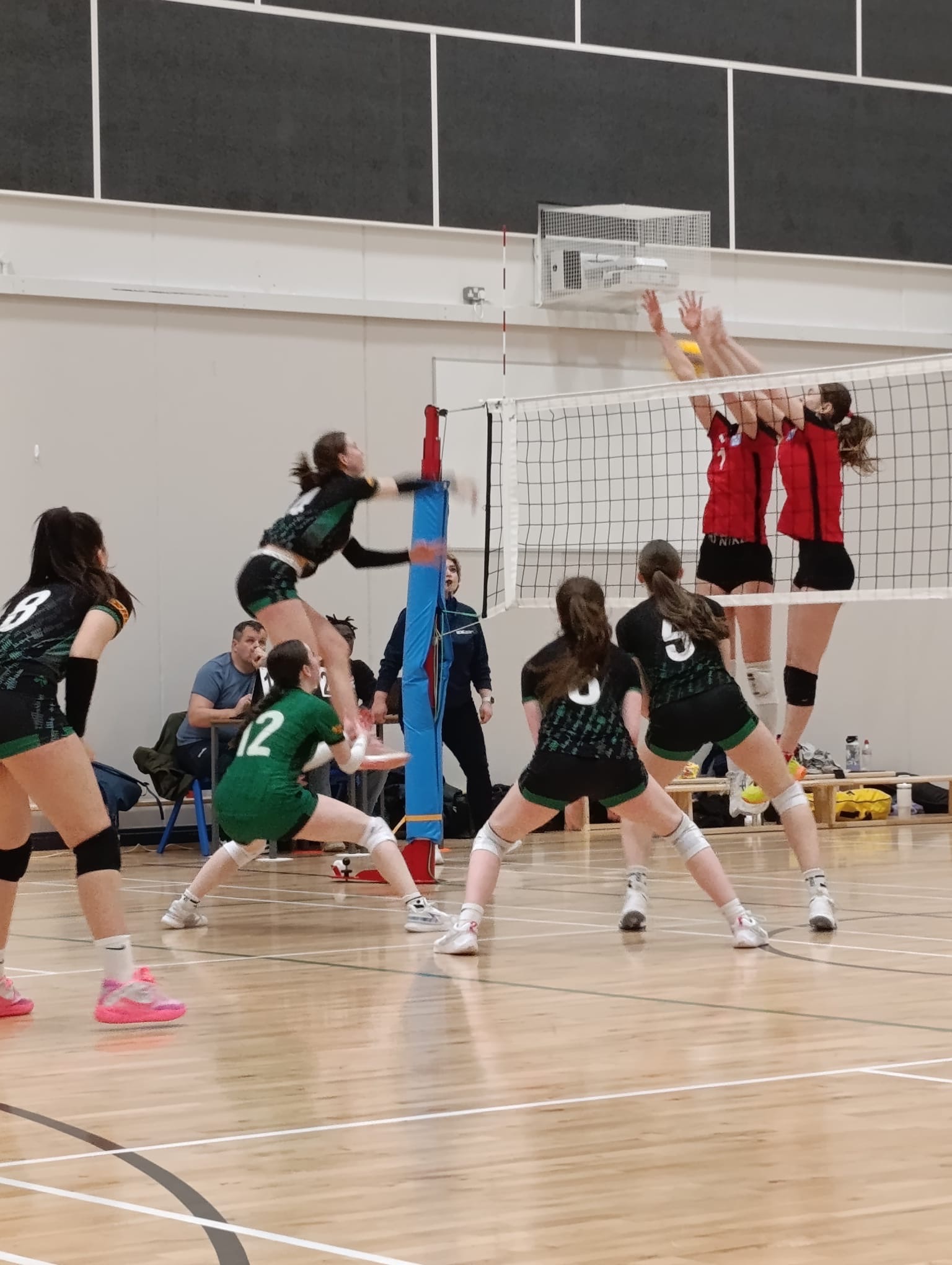 Support the u20 women's Irish Volleyball Team! campaign photo, 4 of 5