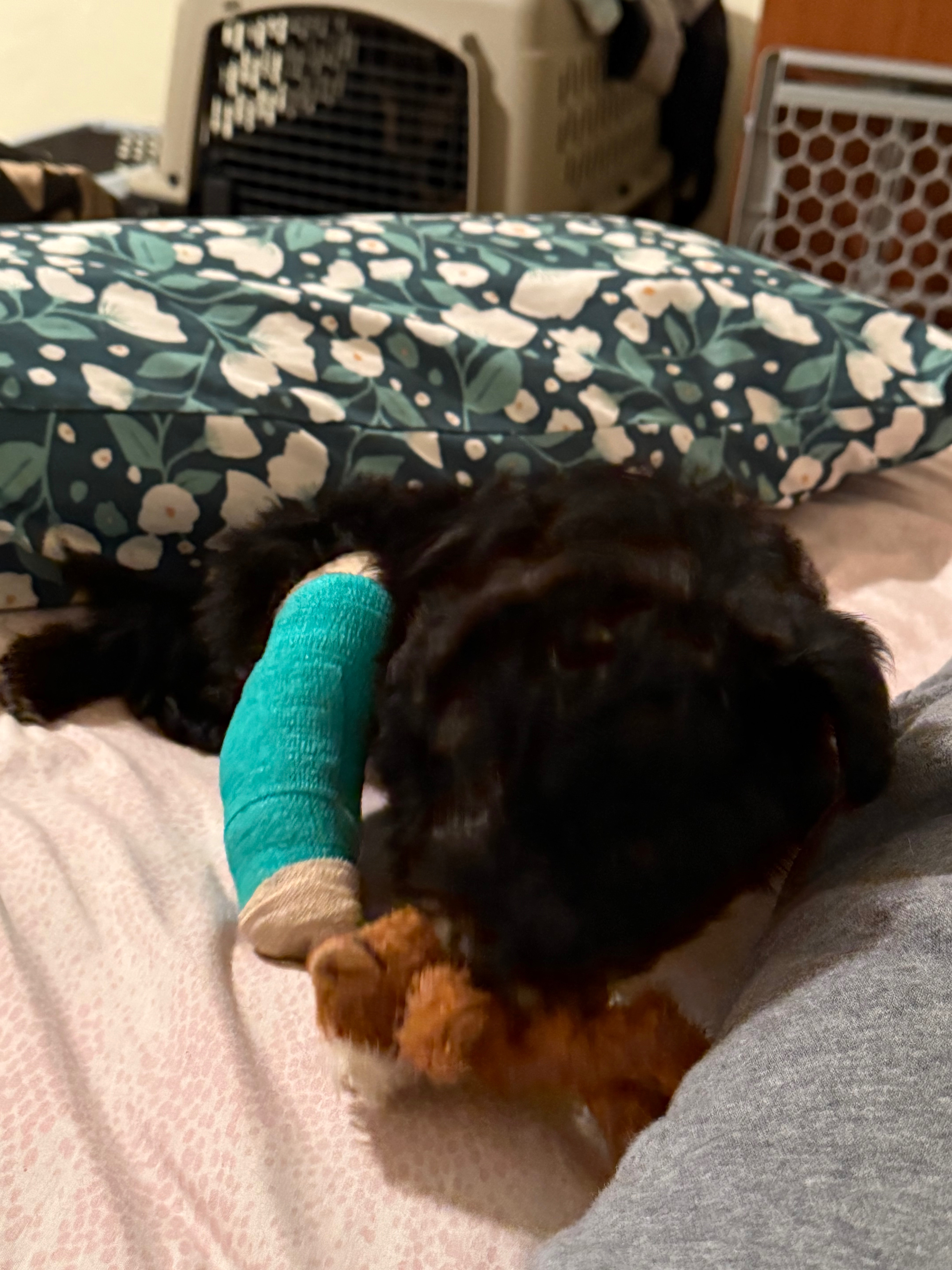 Support Willow’s Recovery Journey campaign photo, 4 of 5