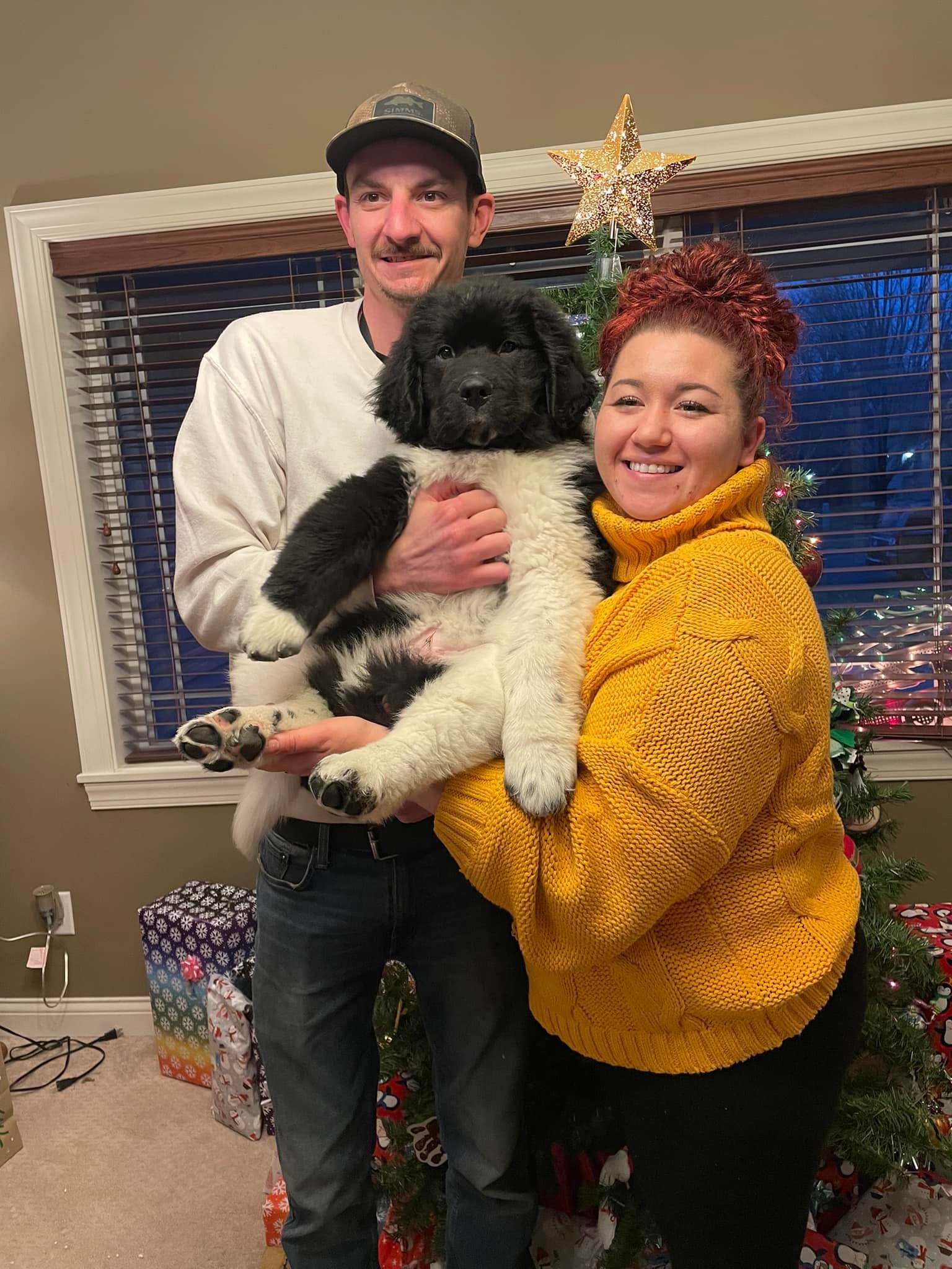 Sara's Healing Fund: Medical and Vet Care campaign photo, 5 of 7