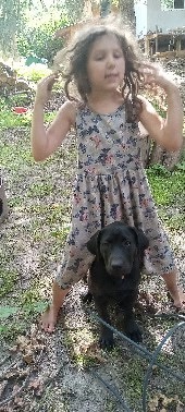 Please Help raise for vet bills for Jedi campaign photo, 4 of 5