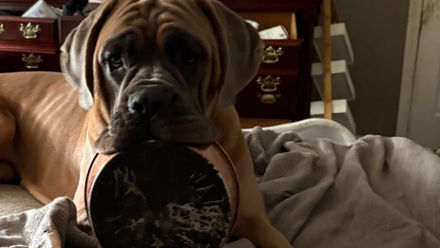 Support for a Family in Need This Holiday photo