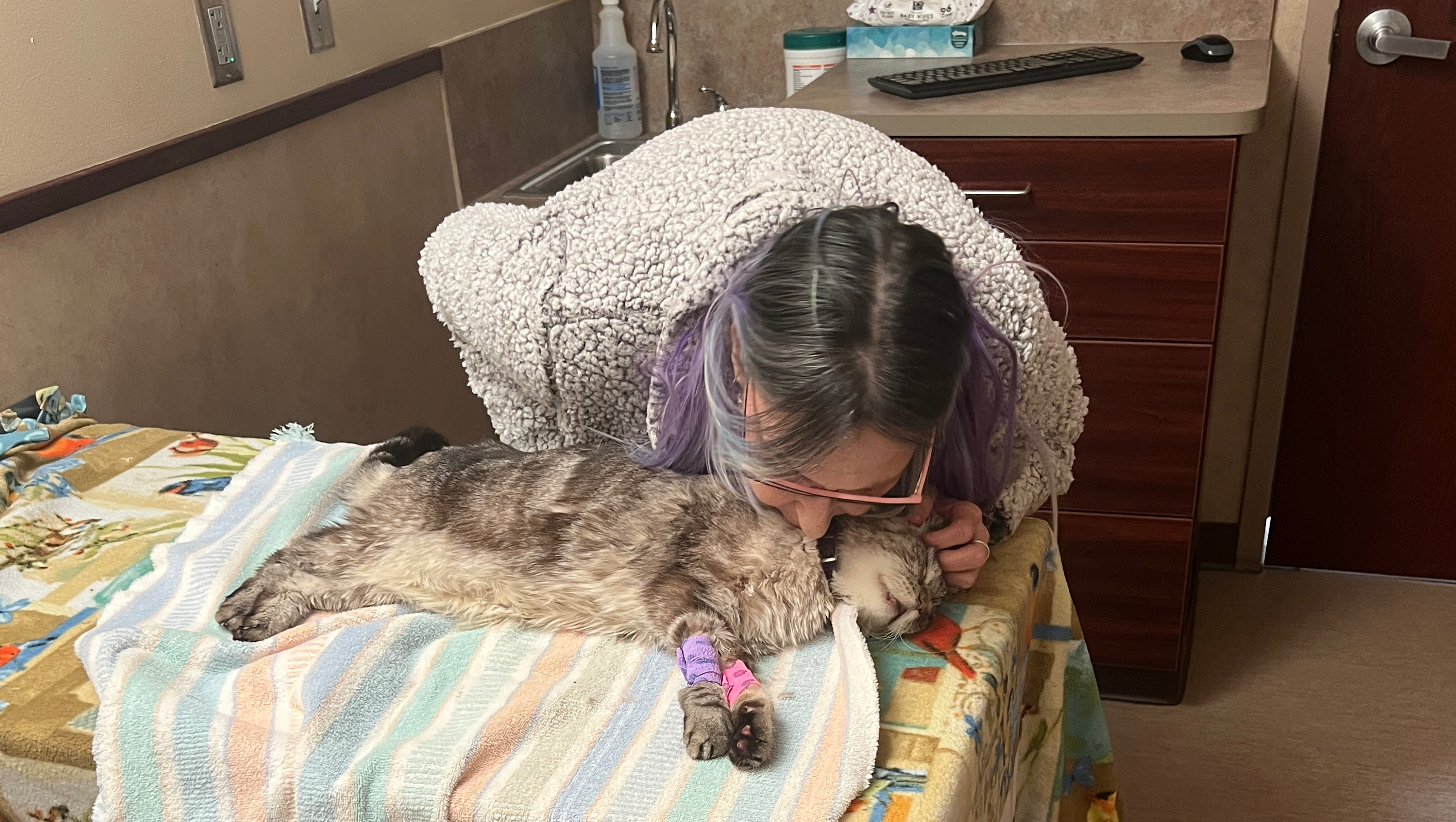 Help with funds for Miss Pickles Euthanasia and cremation photo