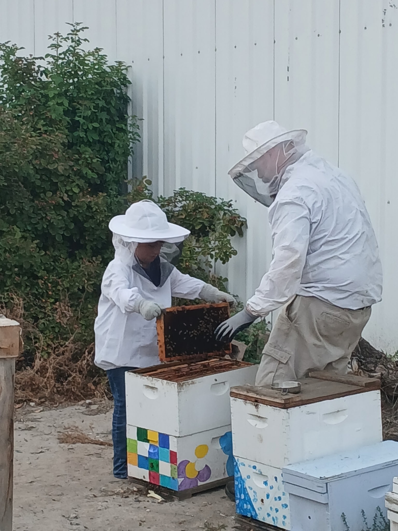 Bee-lieve in Emily's Art Journey to Winter Camp campaign photo, 7 of 8