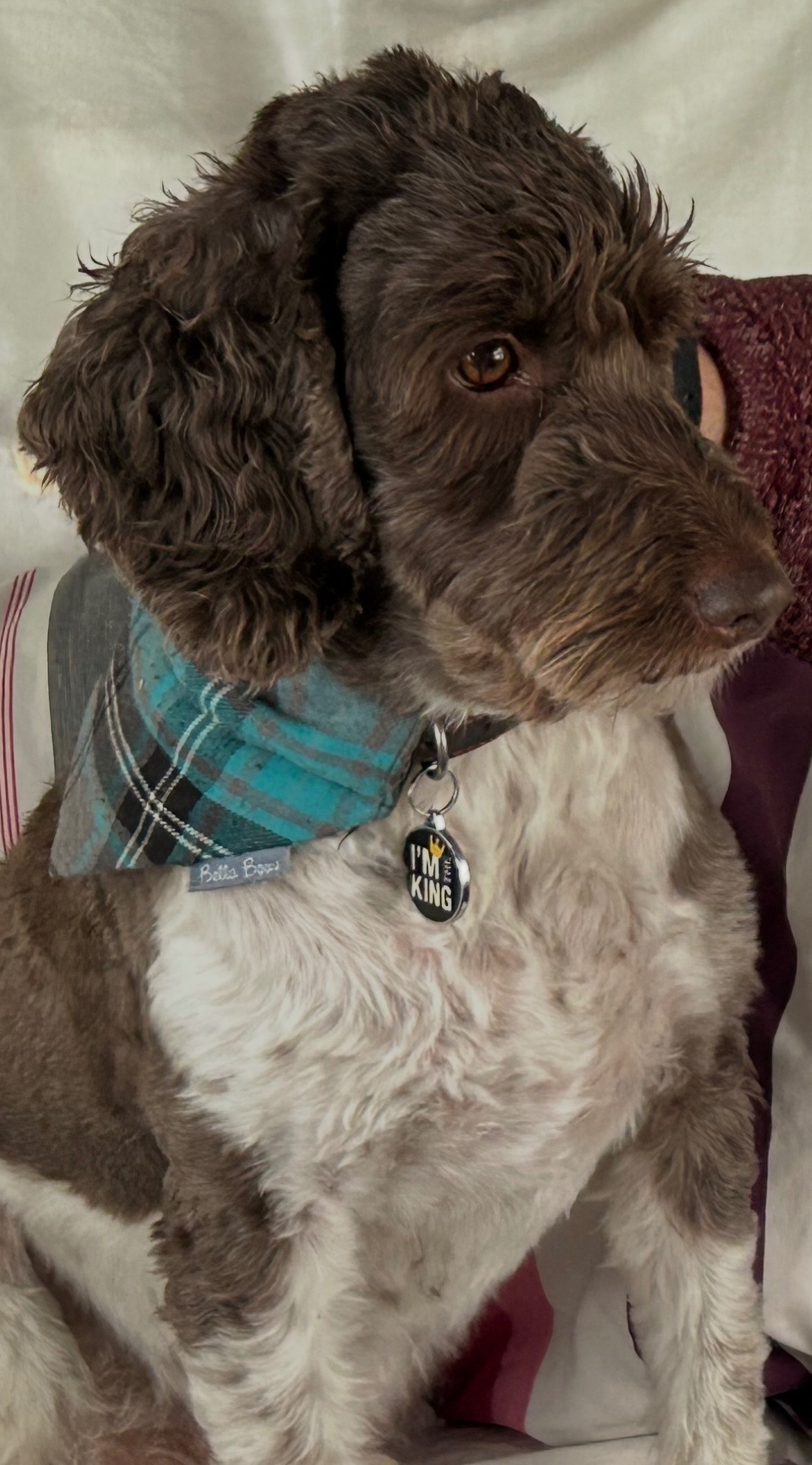 George’s surgery campaign photo, 2 of 4