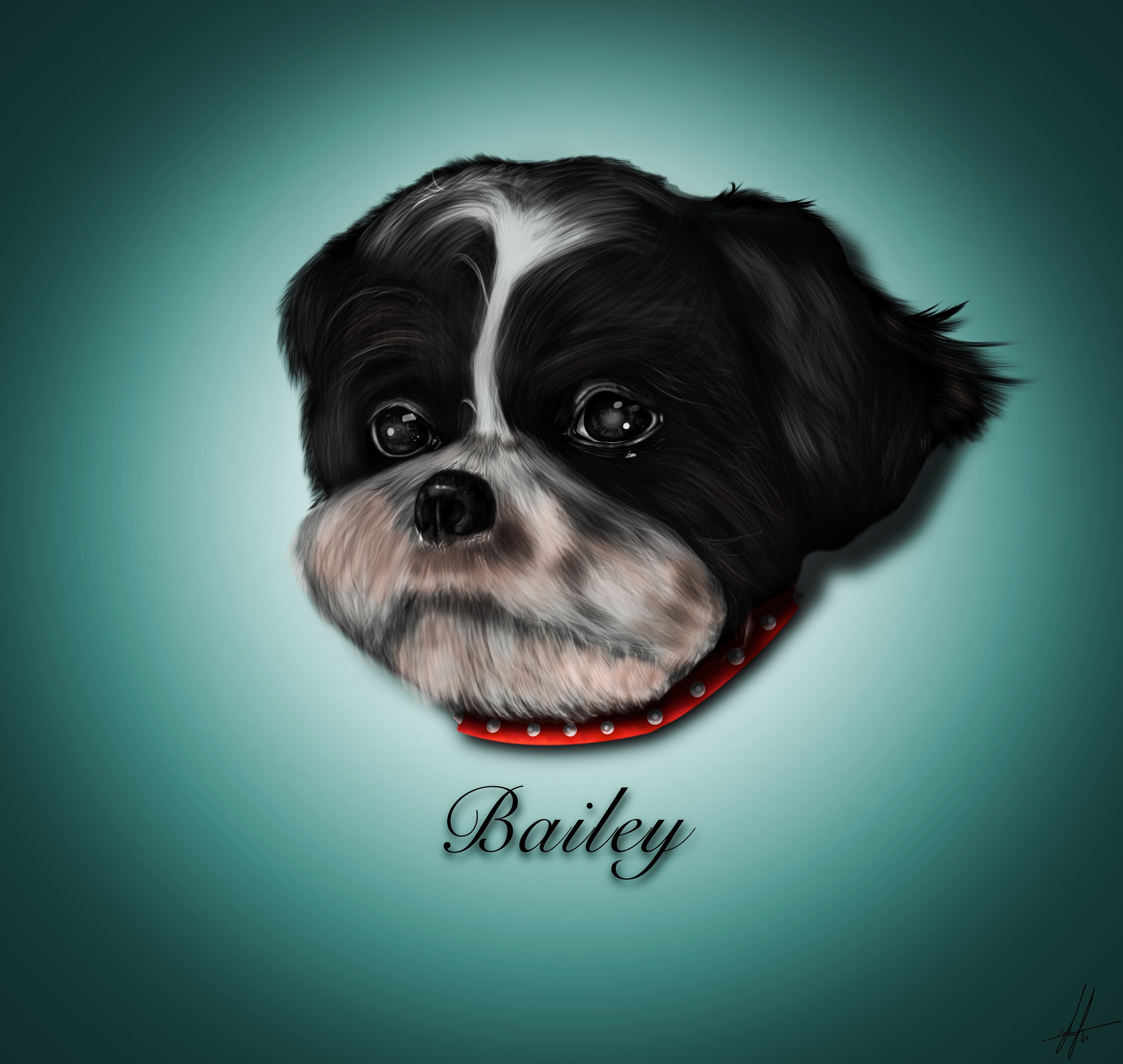 Draw 4 Paws campaign photo, 2 of 7