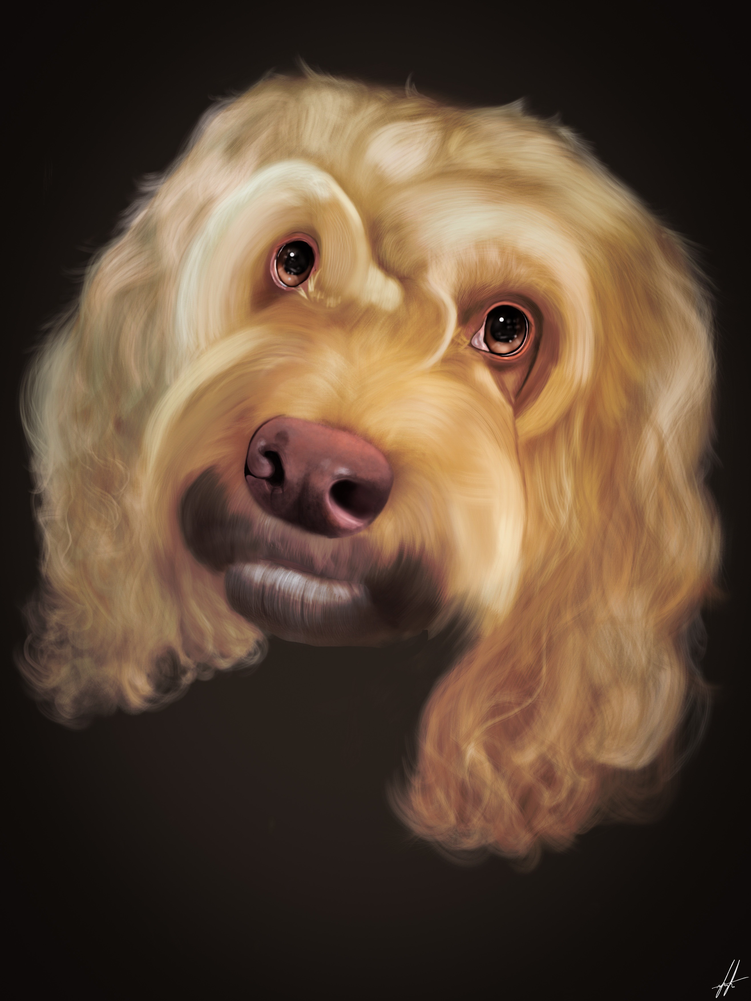 Draw 4 Paws campaign photo, 4 of 7