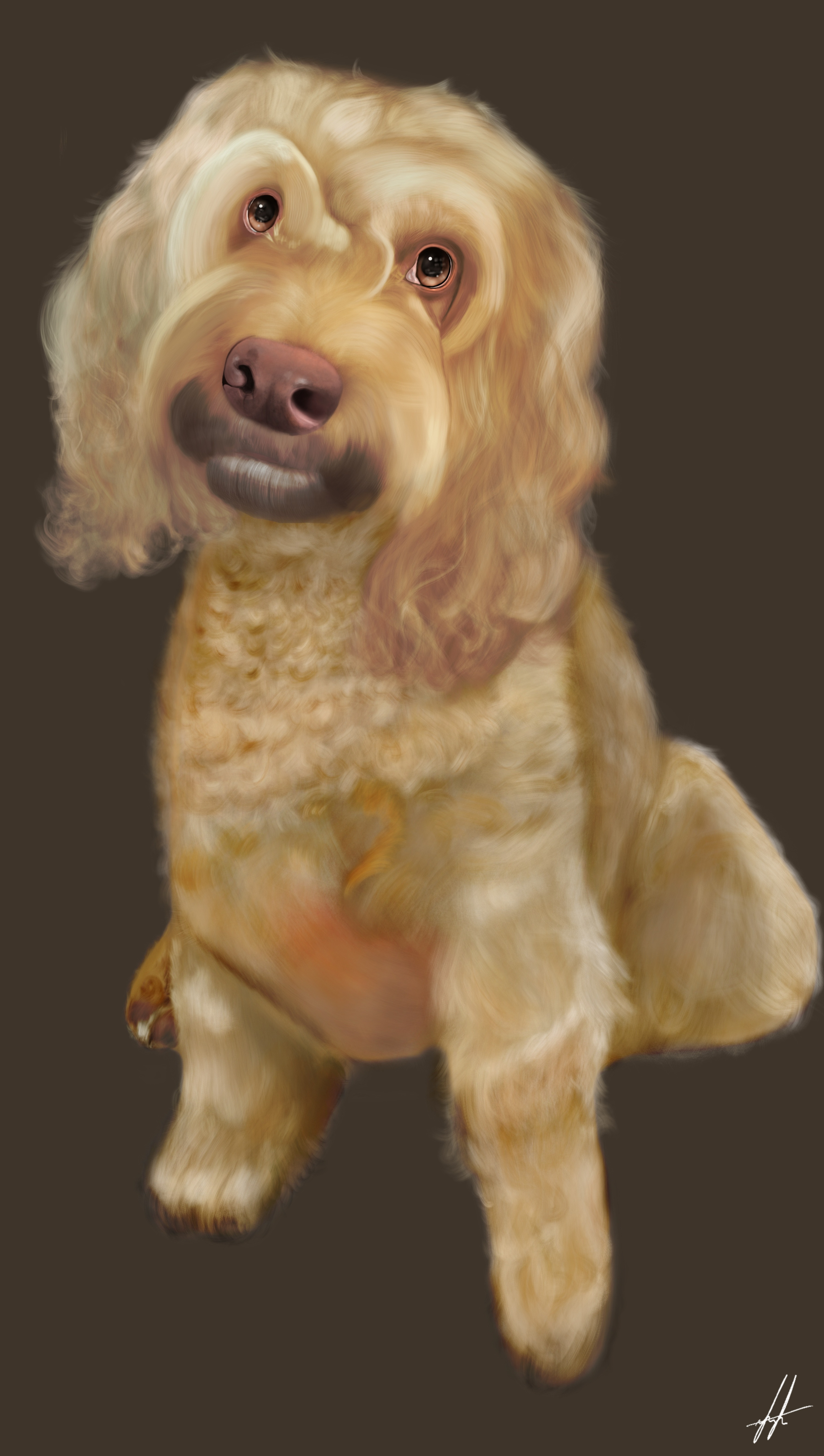 Draw 4 Paws campaign photo, 5 of 7