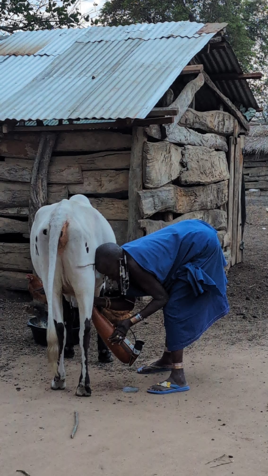 Ayuda a nuestra boma masai campaign photo, 6 of 7