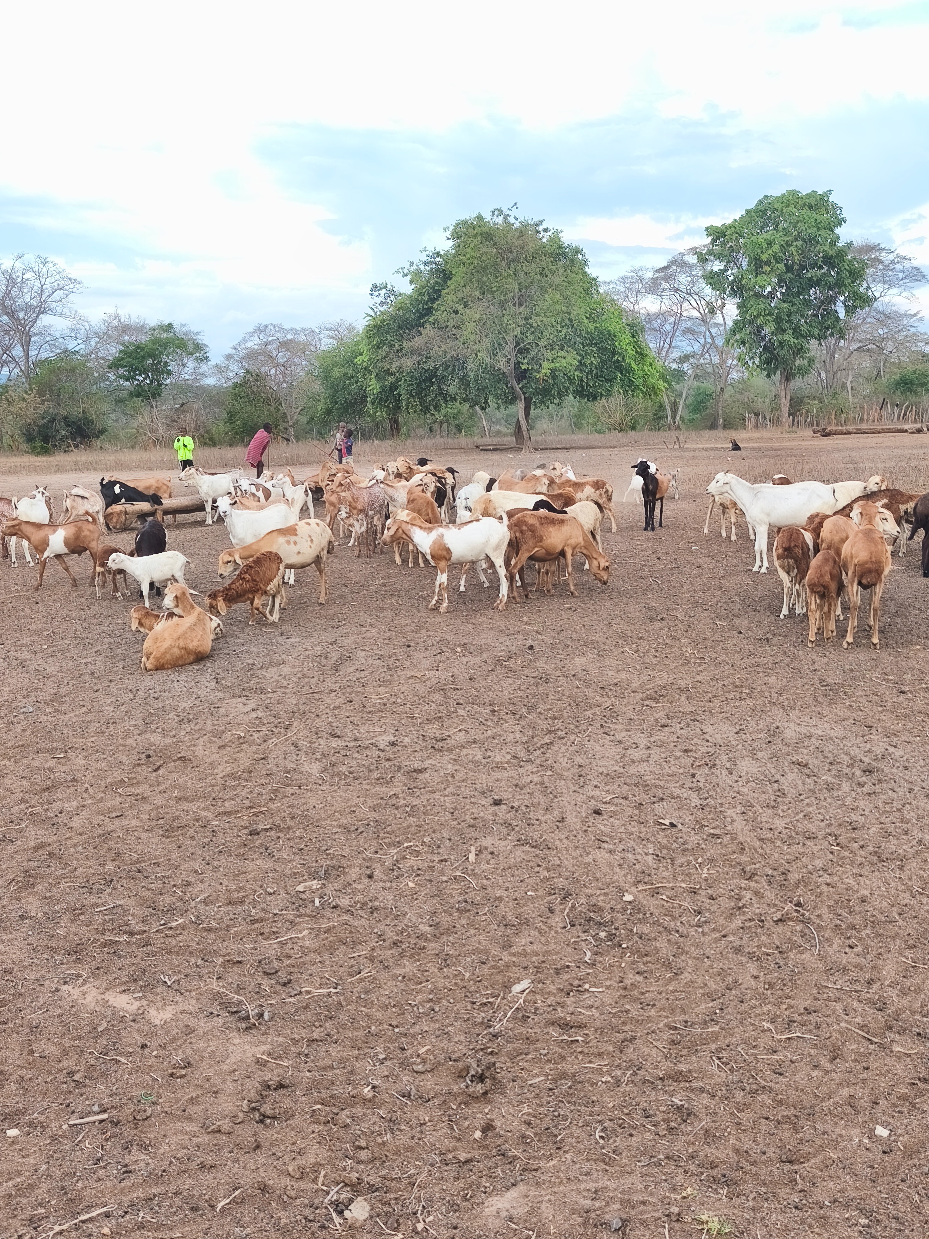 Ayuda a nuestra boma masai campaign photo, 5 of 7