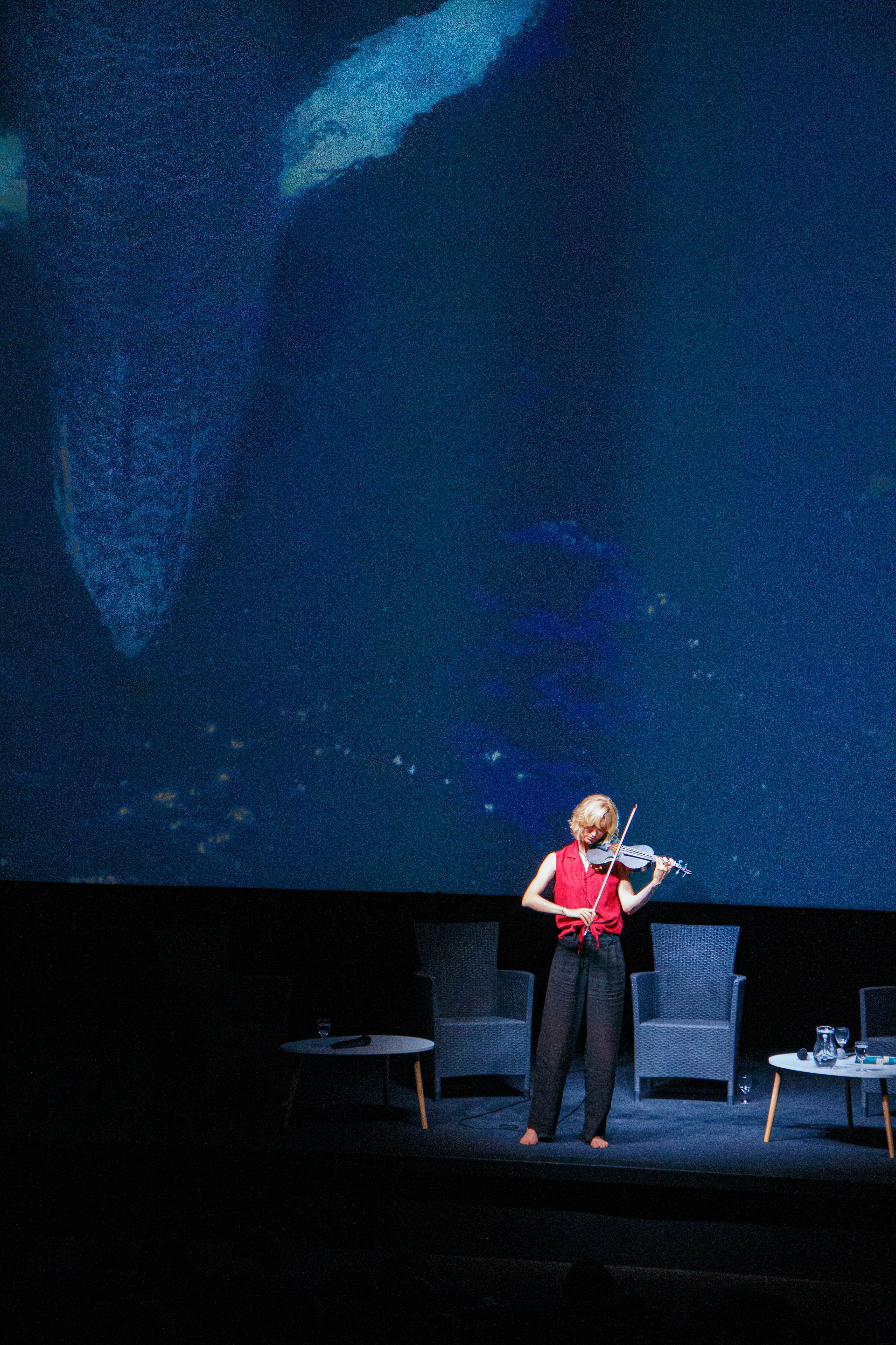 Join my PhD adventure: interconnectedness, music and science campaign photo, 5 of 8