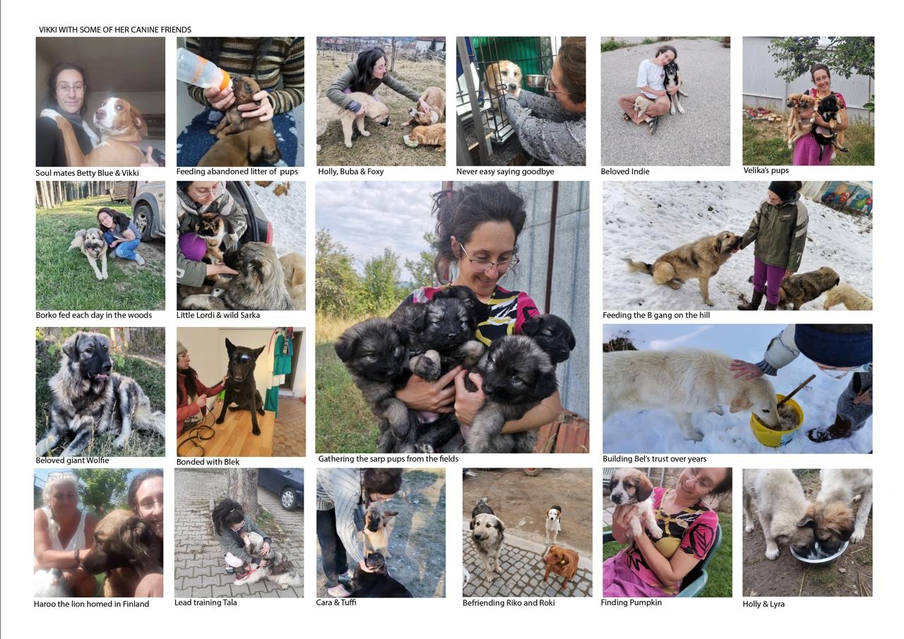A legacy of love - Roaming Tails campaign photo, 5 of 8