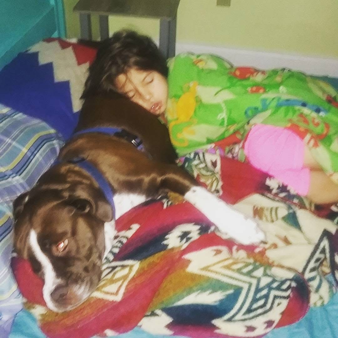 Support Ruby’s Gentle At-Home Farewell campaign photo, 4 of 8