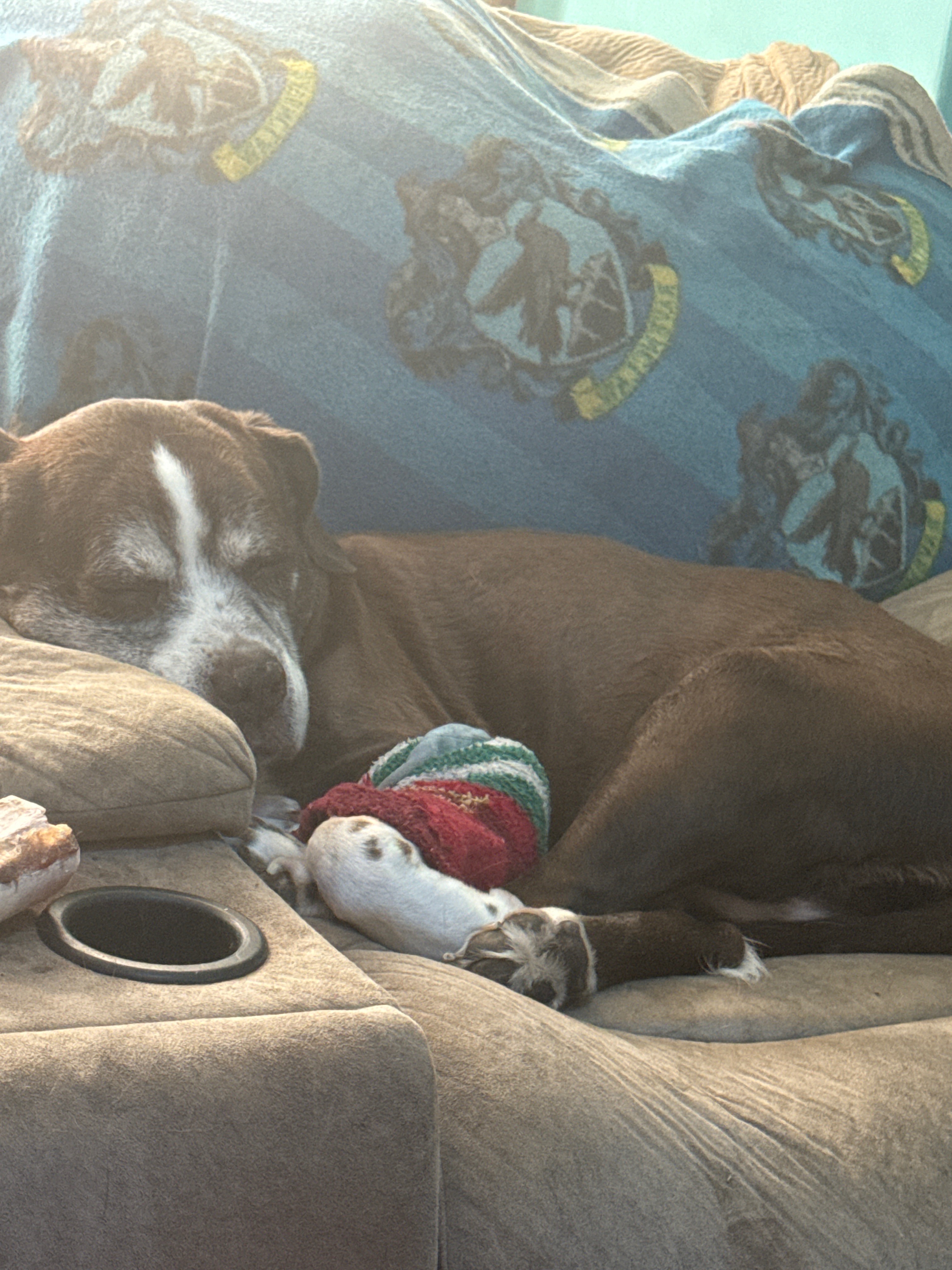 Support Ruby’s Gentle At-Home Farewell campaign photo, 5 of 8