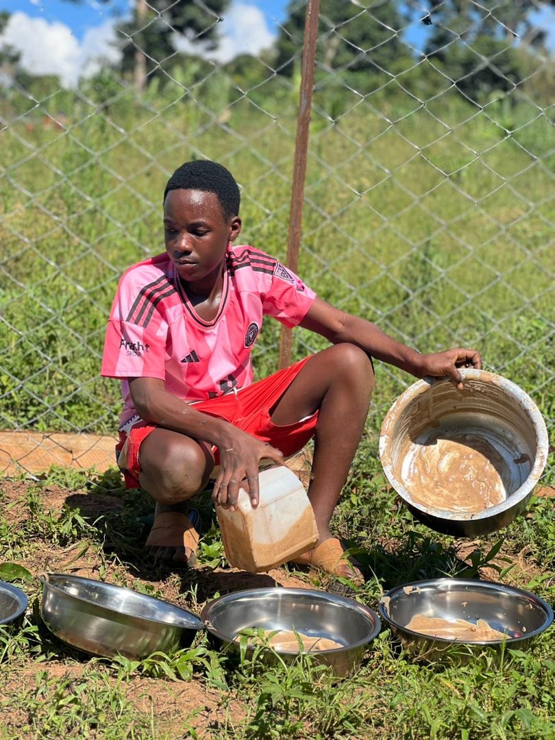 Desperate Plea - They Are Starving To Death campaign photo, 4 of 8