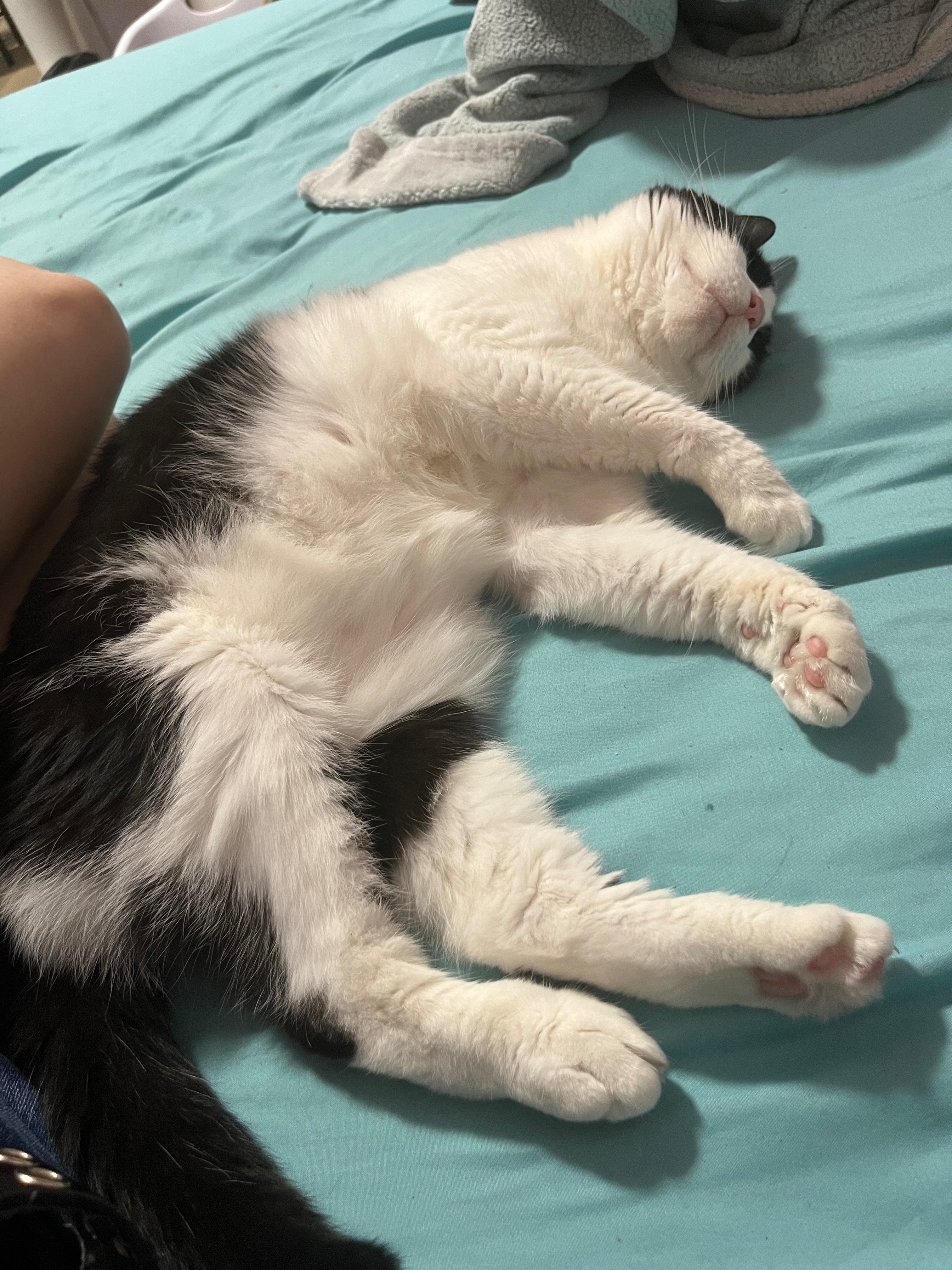 Help a college student pay for her vet bills campaign photo, 6 of 8