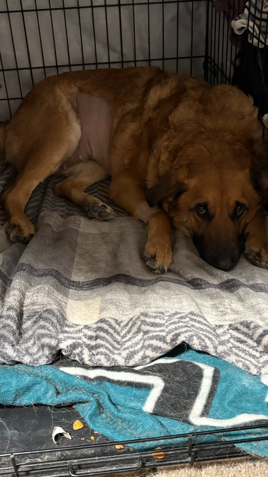 Help Kiyra Recover: Support Her Surgery campaign photo, 2 of 8
