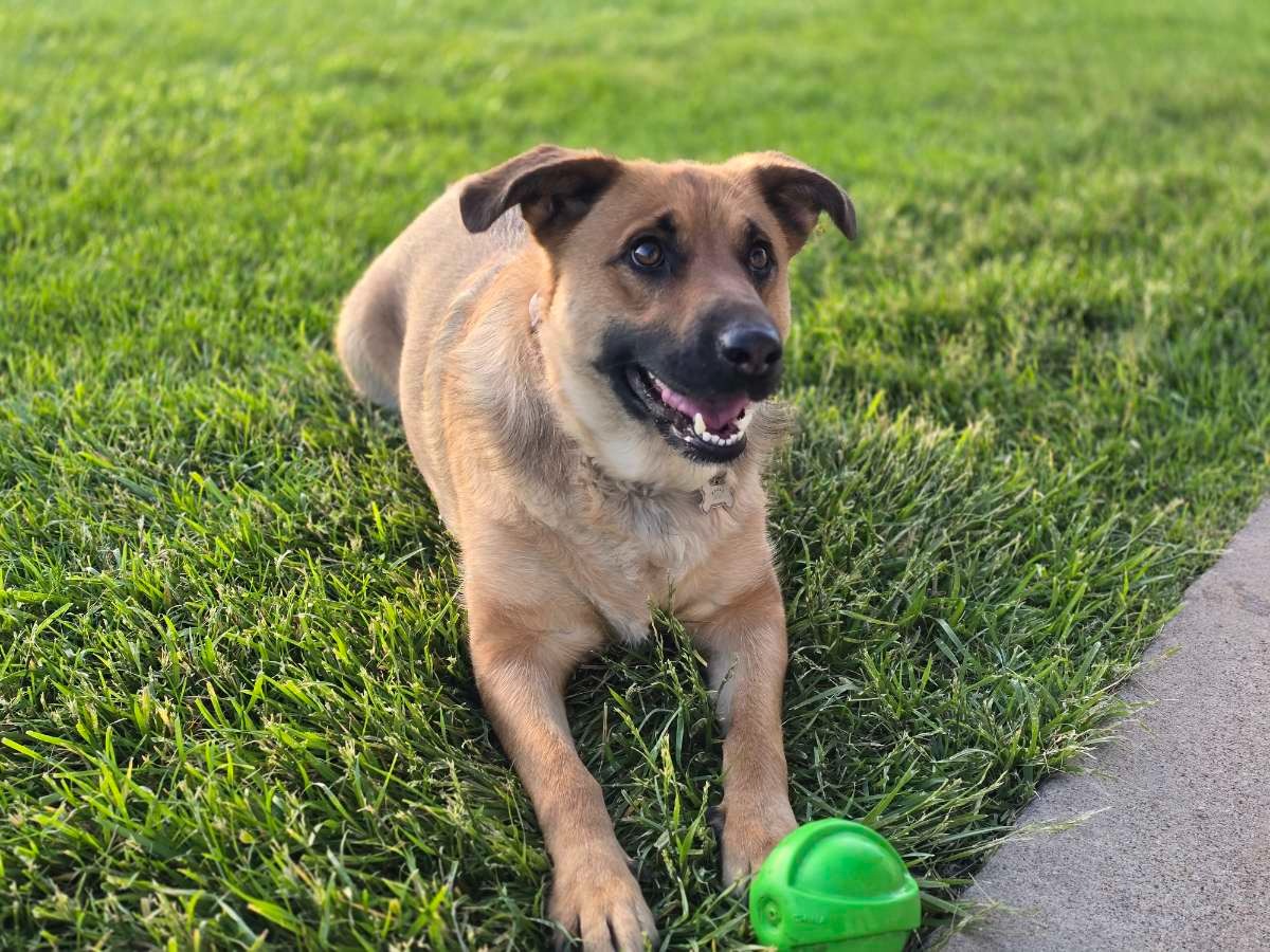 Help Kiyra Recover: Support Her Surgery campaign photo, 4 of 8