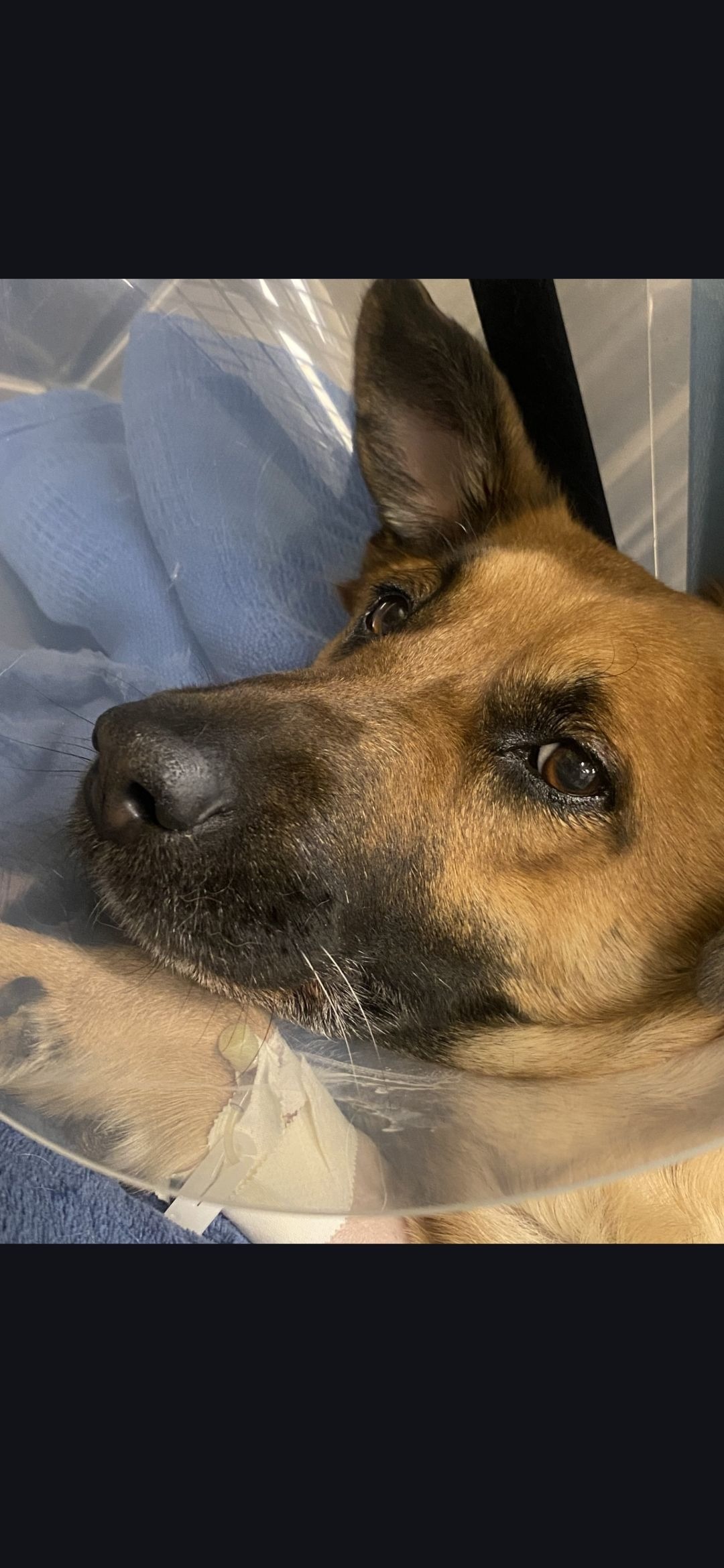 Help Kiyra Recover: Support Her Surgery campaign photo, 5 of 8