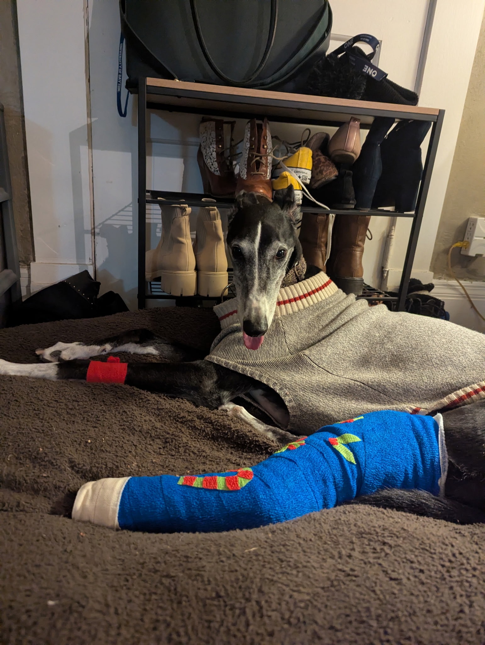 Healing for Knock: Urgent Surgery Fund campaign photo, 2 of 4