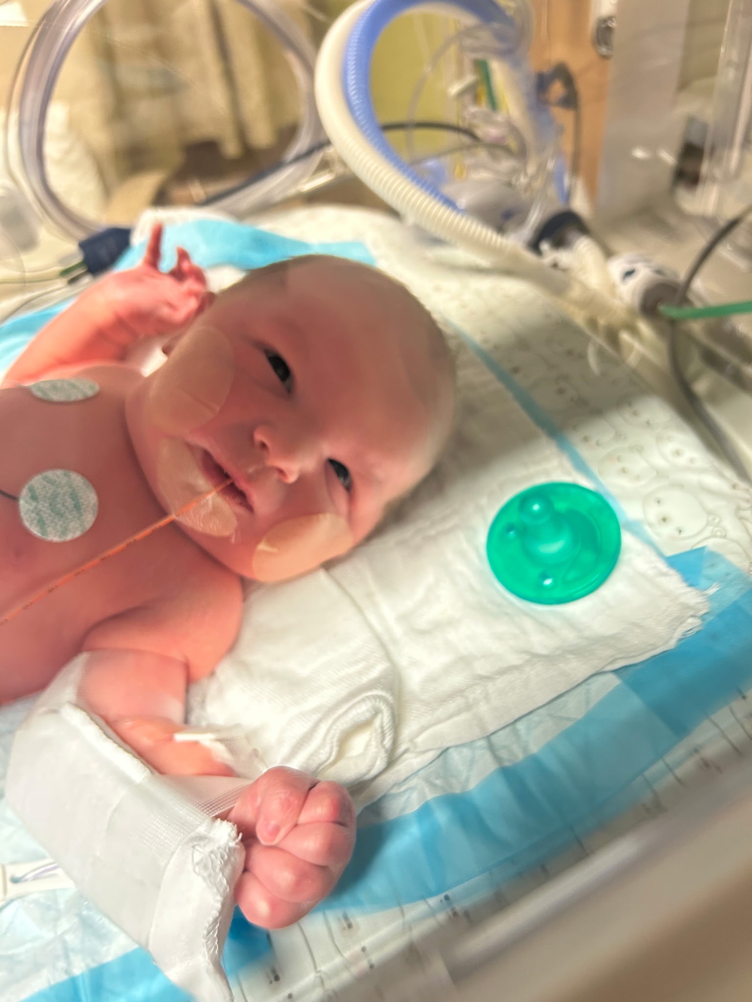 Support Haley & Michael's NICU Journey campaign photo, 6 of 7