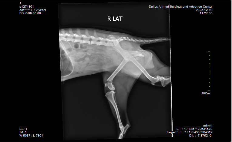 Help Florian Walk Again with Urgent Surgery campaign photo, 6 of 8