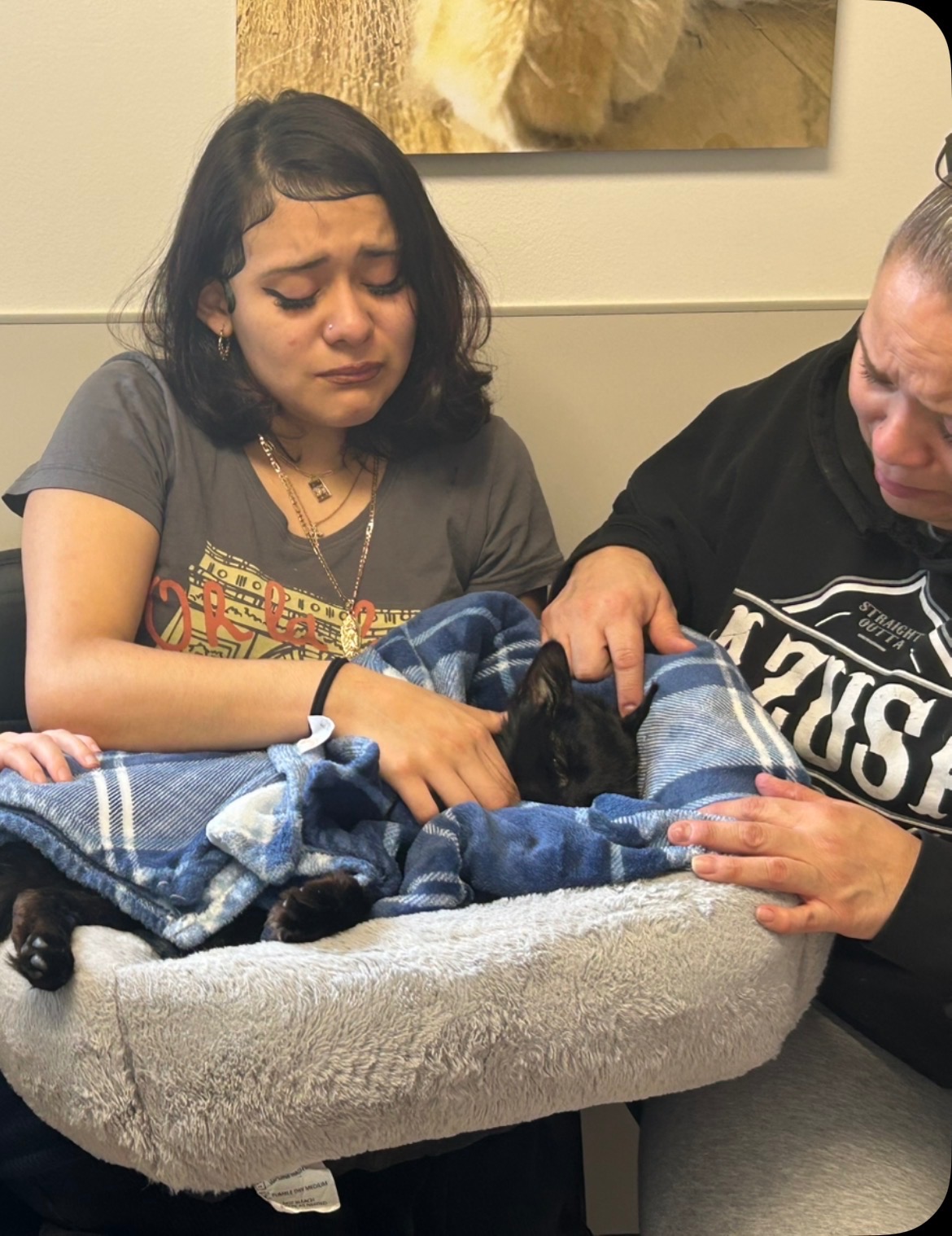 A Loving Farewell: Bringing Scrim Home campaign photo, 7 of 8