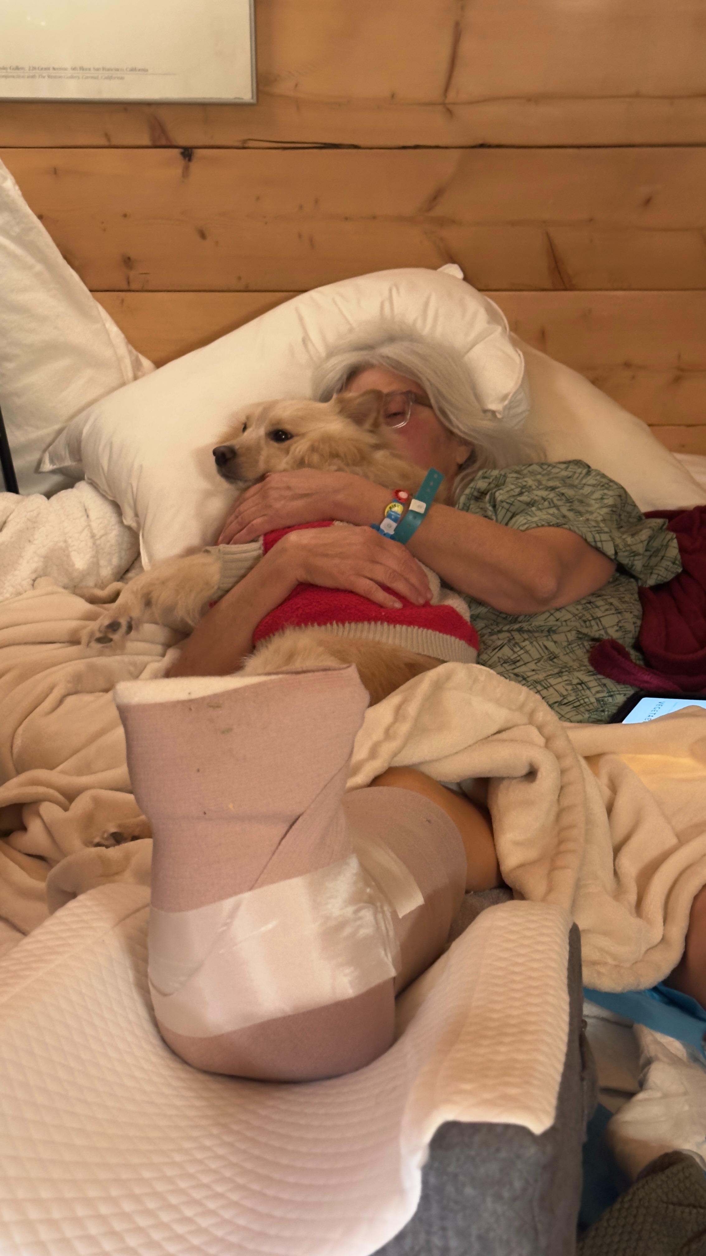 Help My Mom Recover After Breaking Both Ankles campaign photo, 2 of 8