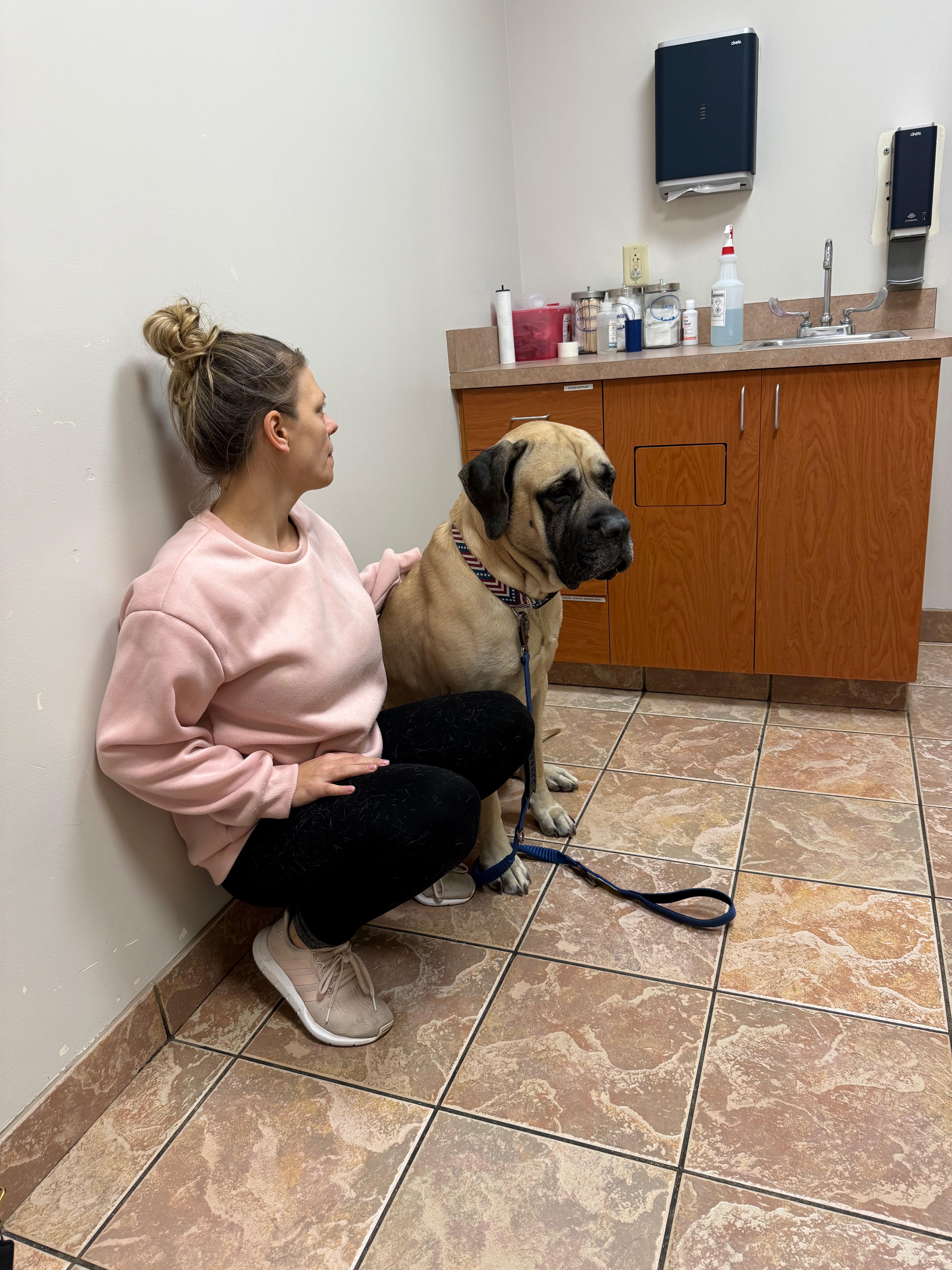 Support Yogi’s Urgent Medical Care campaign photo, 6 of 8
